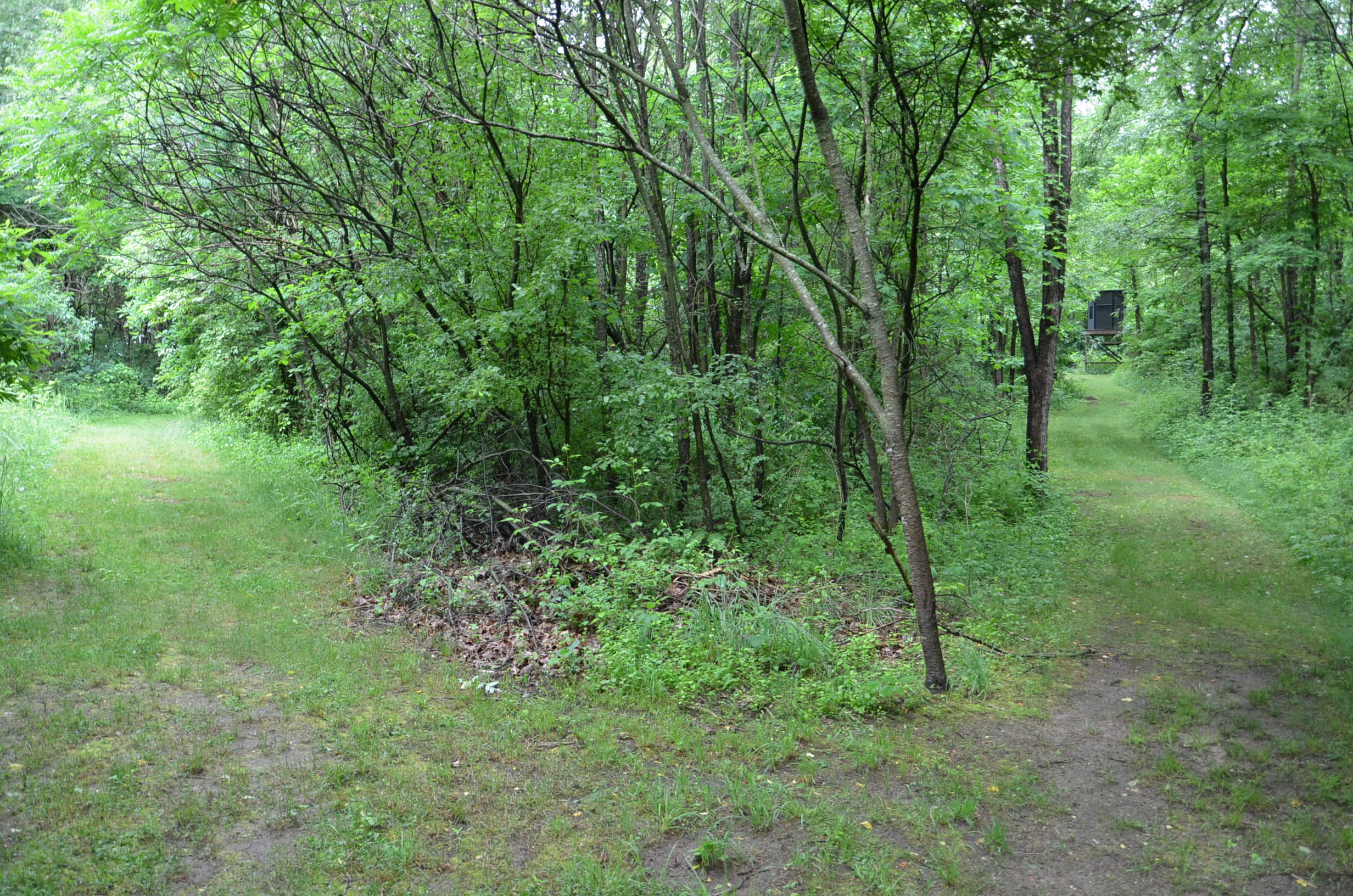 8874 1 Mile Road Property Photo 88