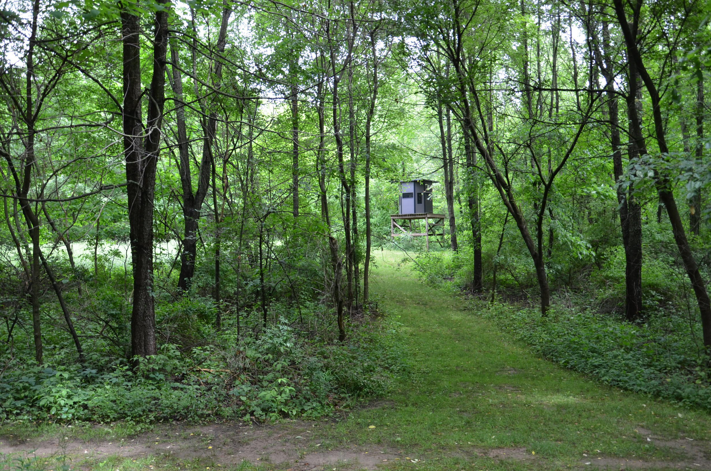8874 1 Mile Road Property Photo 89