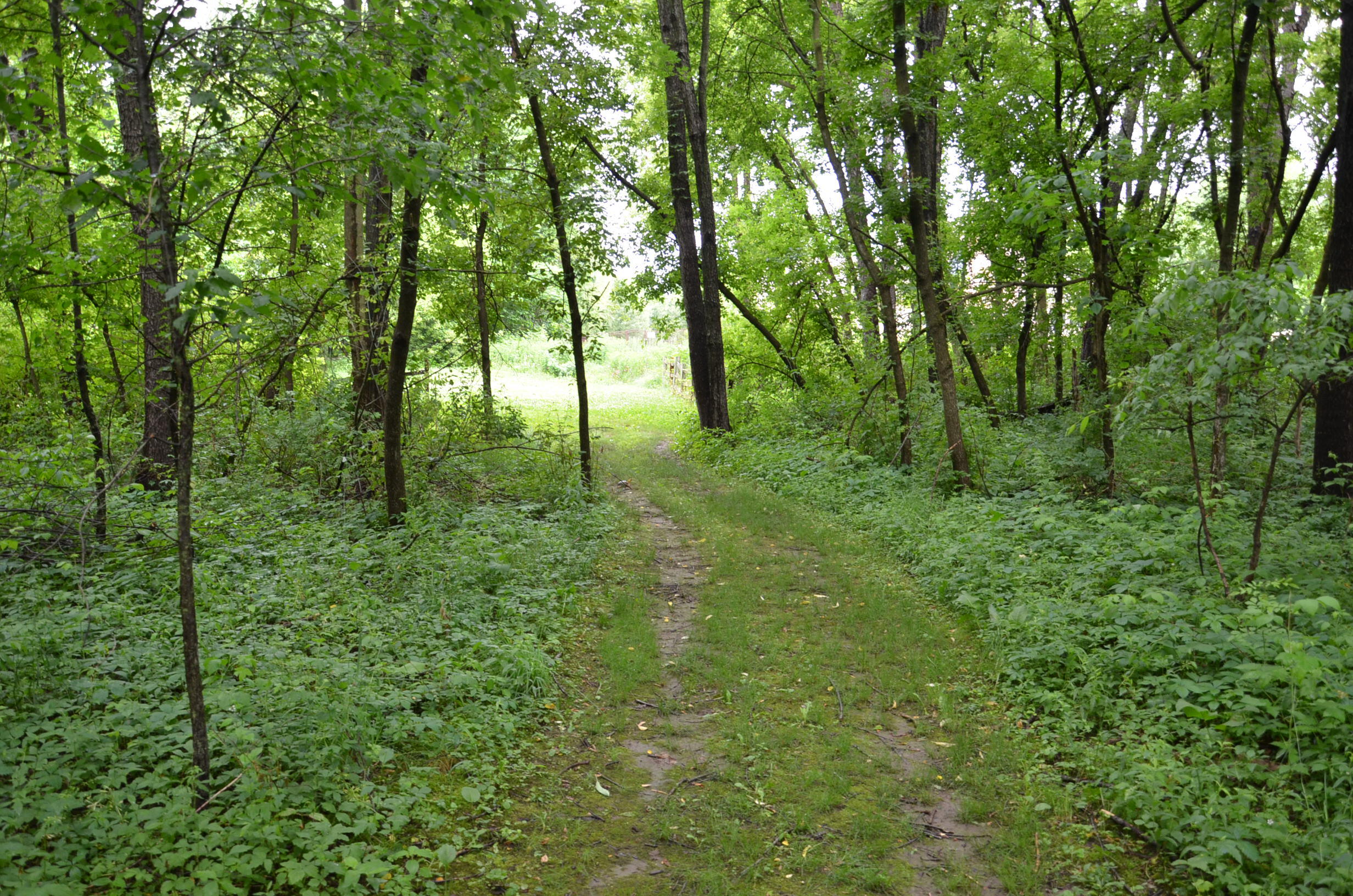8874 1 Mile Road Property Photo 90