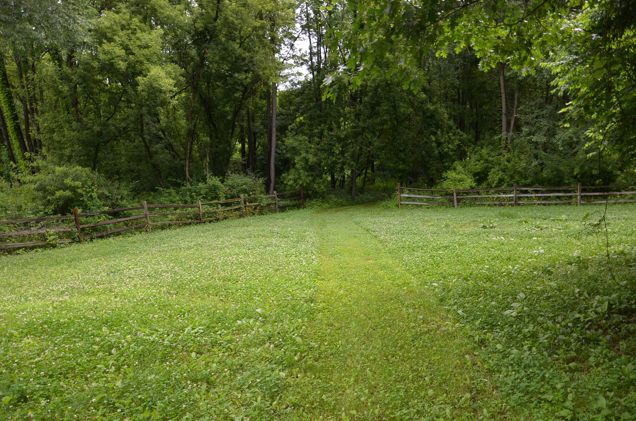 8874 1 Mile Road Property Photo 92