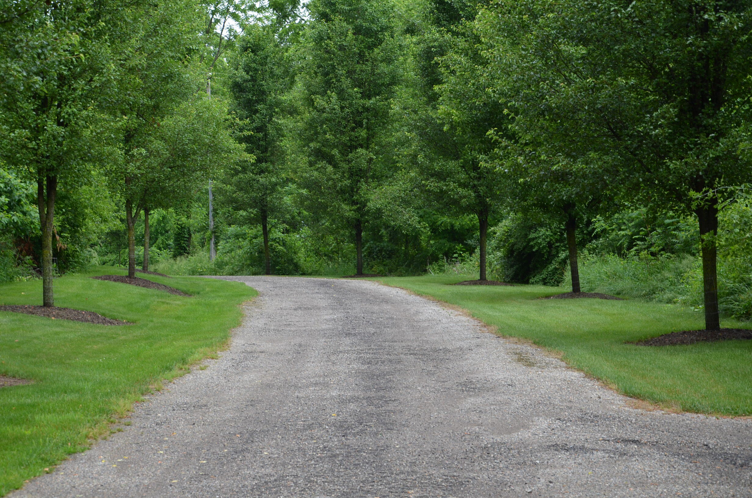 8874 1 Mile Road Property Photo 93
