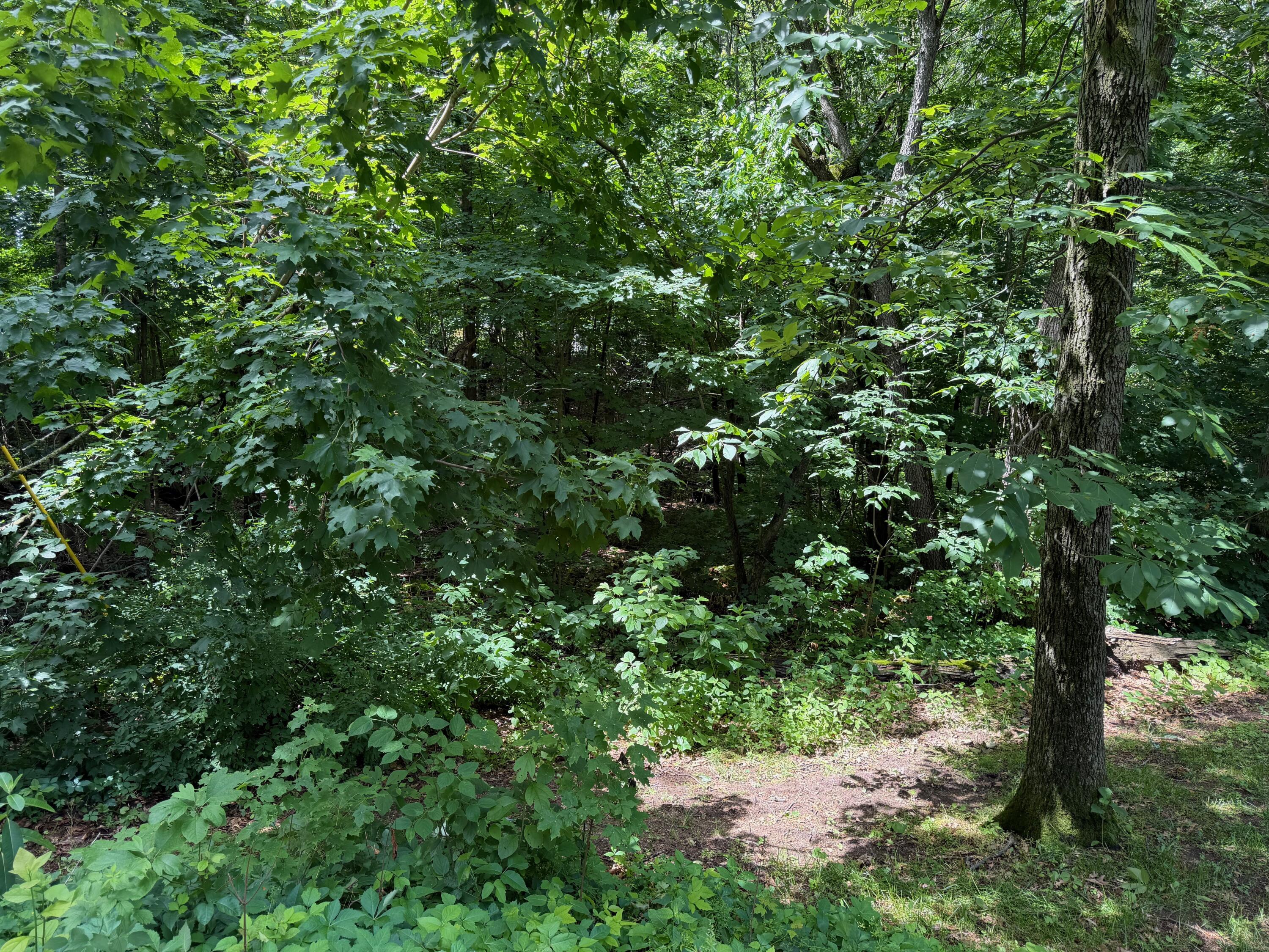 59710 M-51 S Property Photo 17