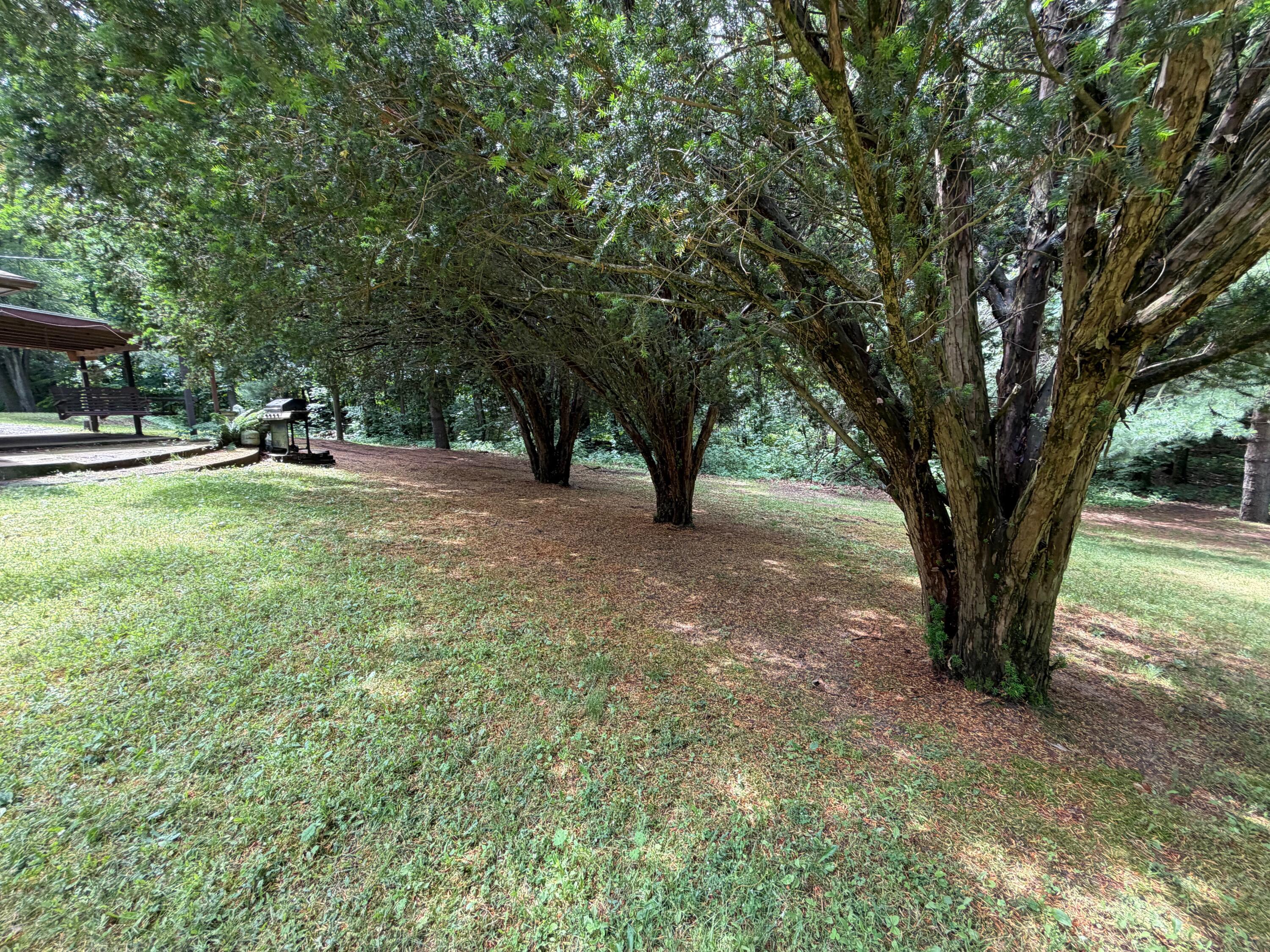 59710 M-51 S Property Photo 29