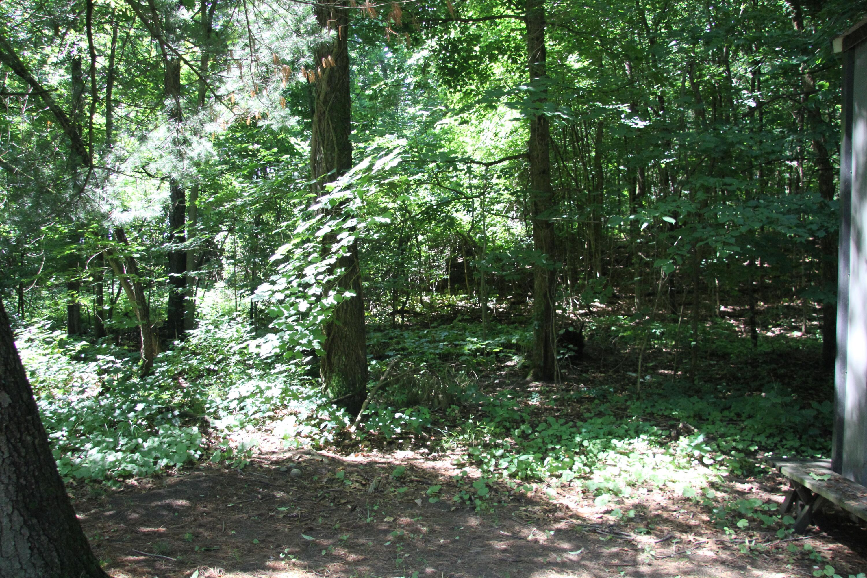59710 M-51 S Property Photo 33
