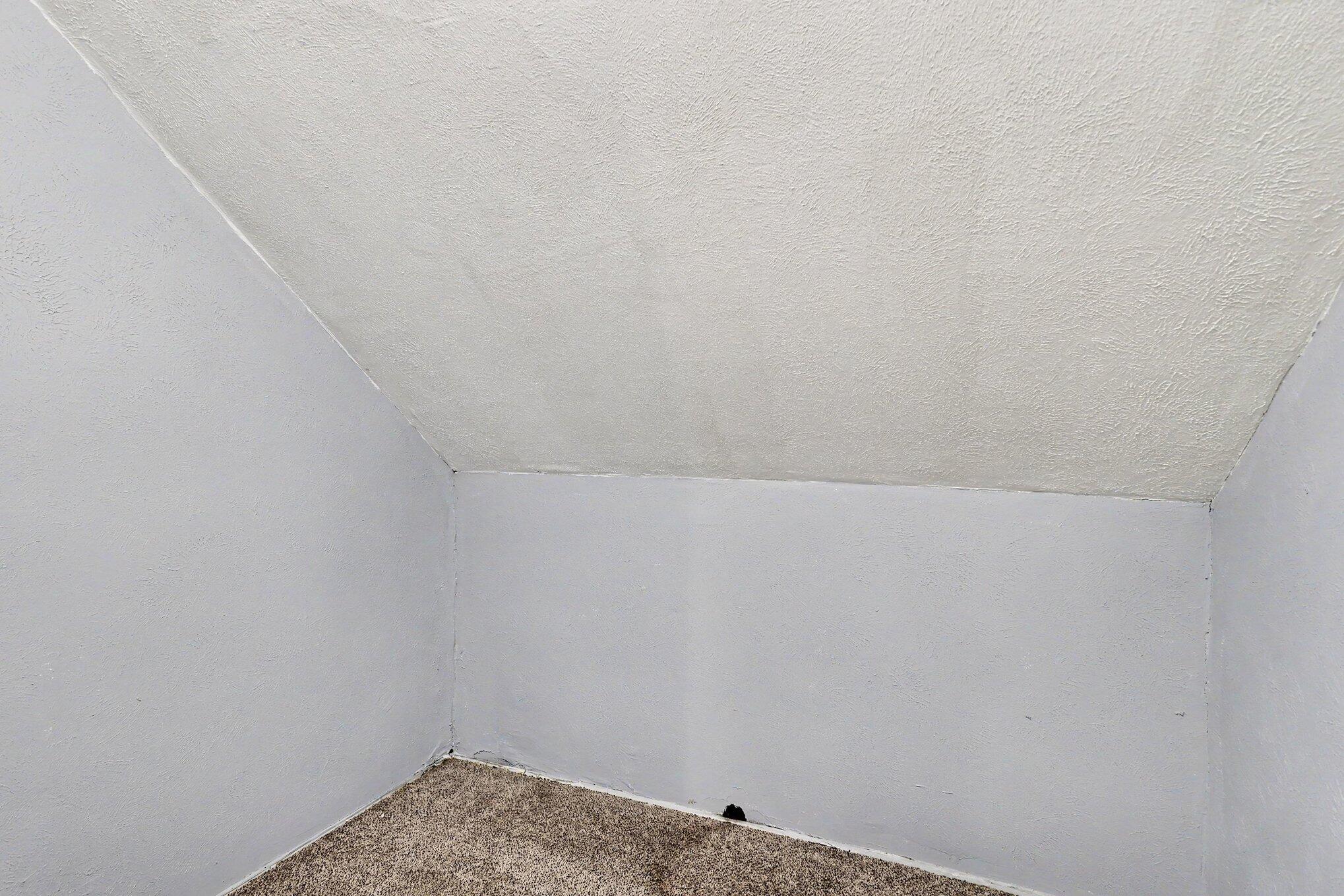 1222 E Kalamazoo Street Property Photo 19