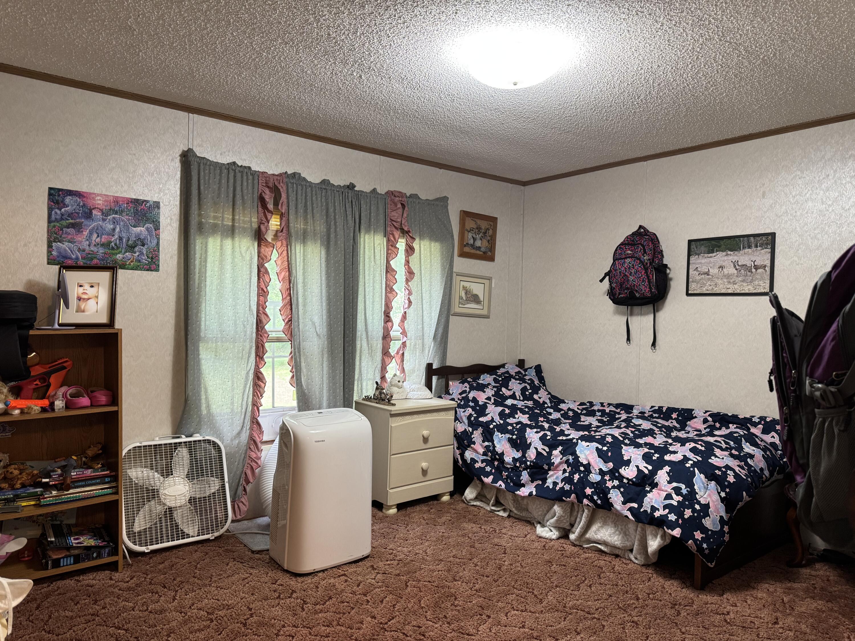 270 Kathy Drive Property Photo 14