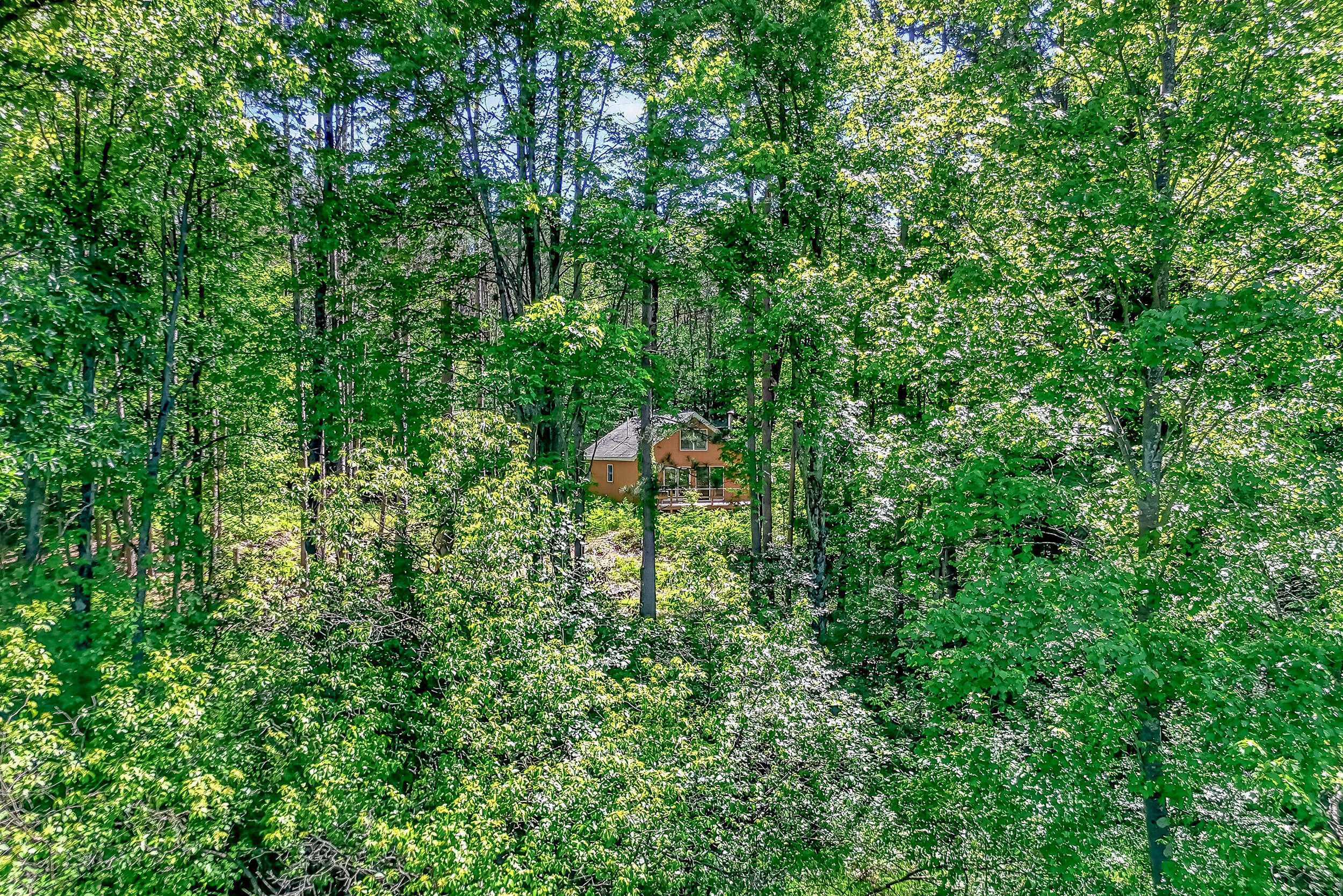 3821 W Baseline Road Property Photo 19