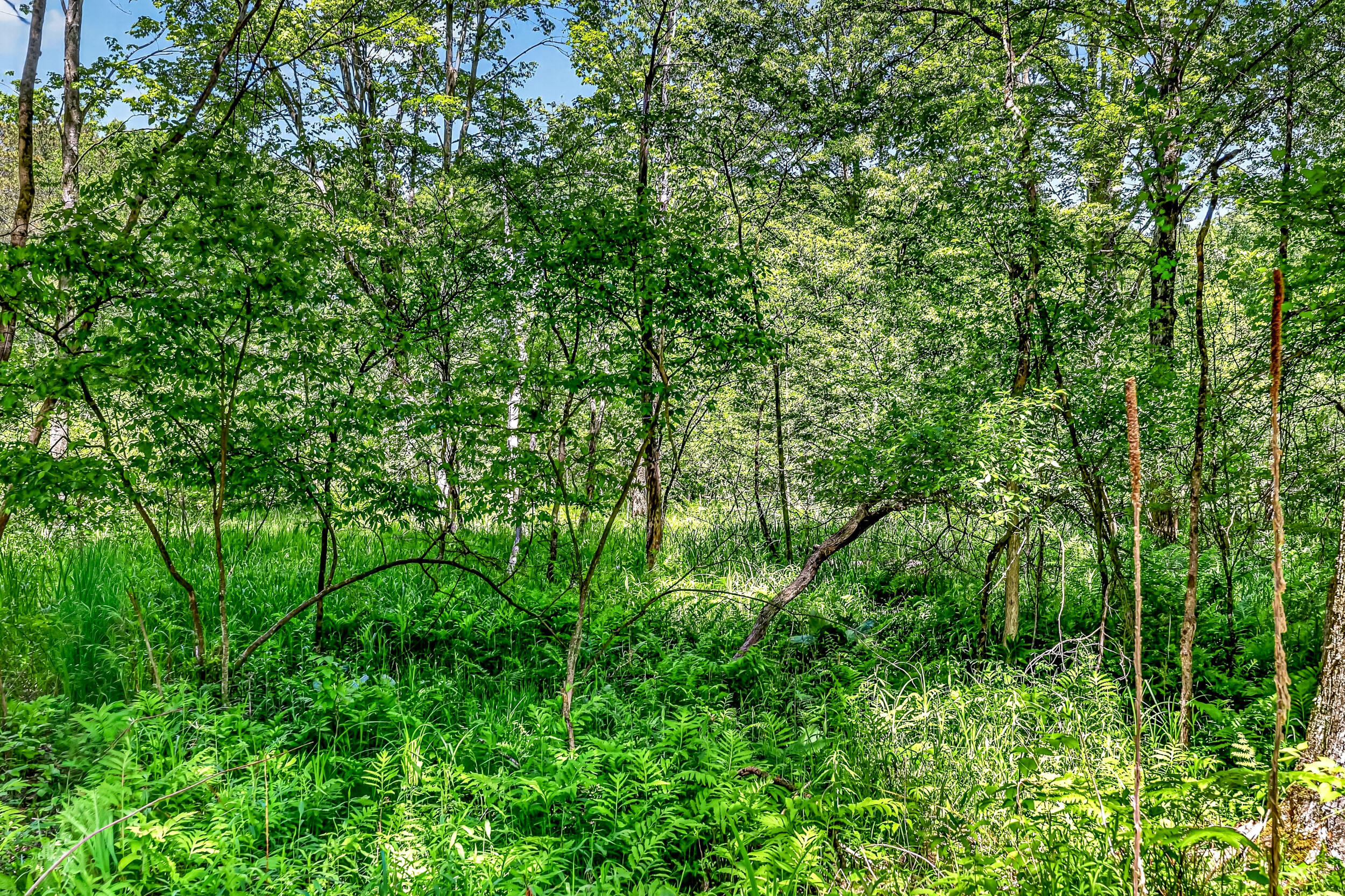 3821 W Baseline Road Property Photo 45