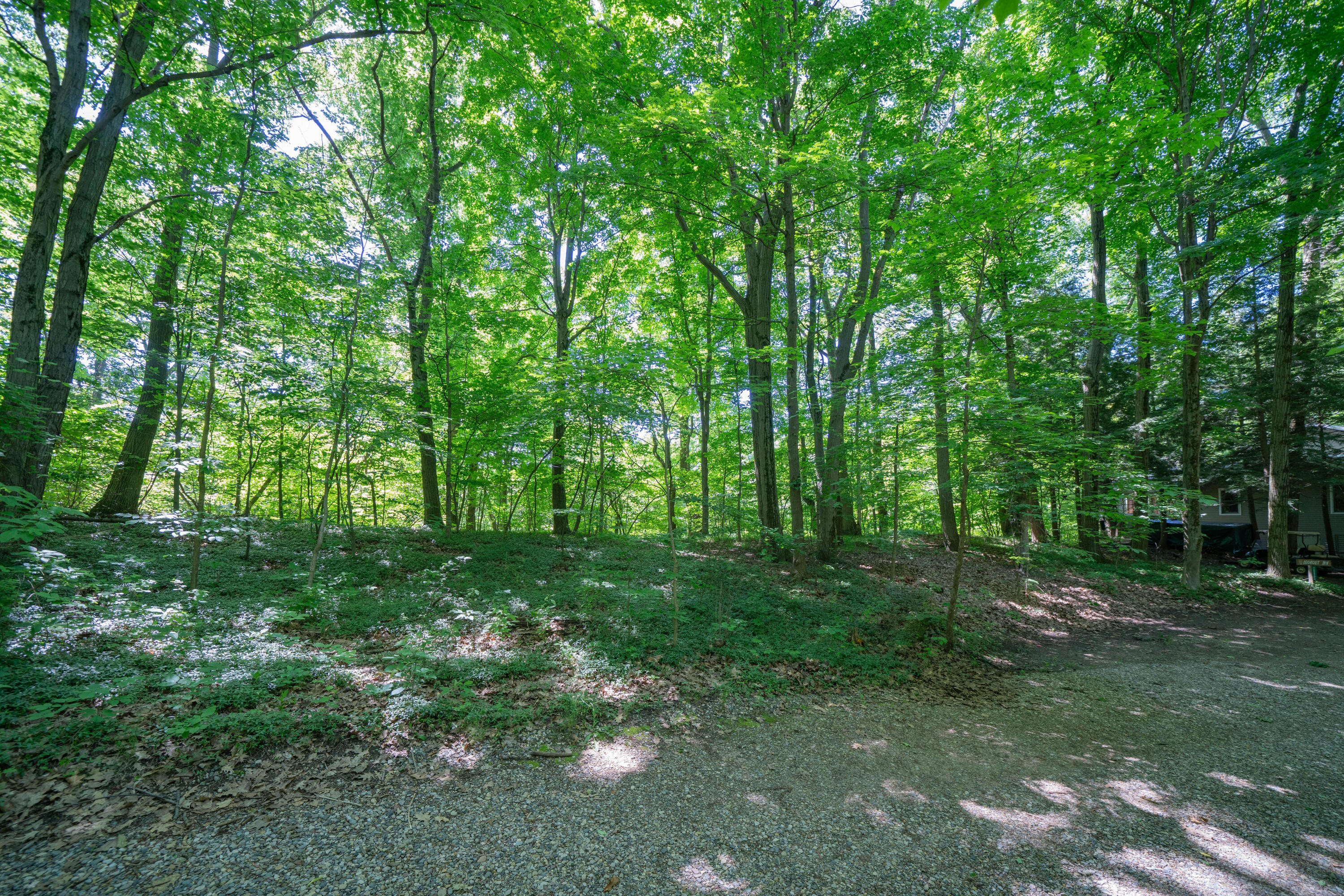 Vl Ramblewood Circle Property Photo 5