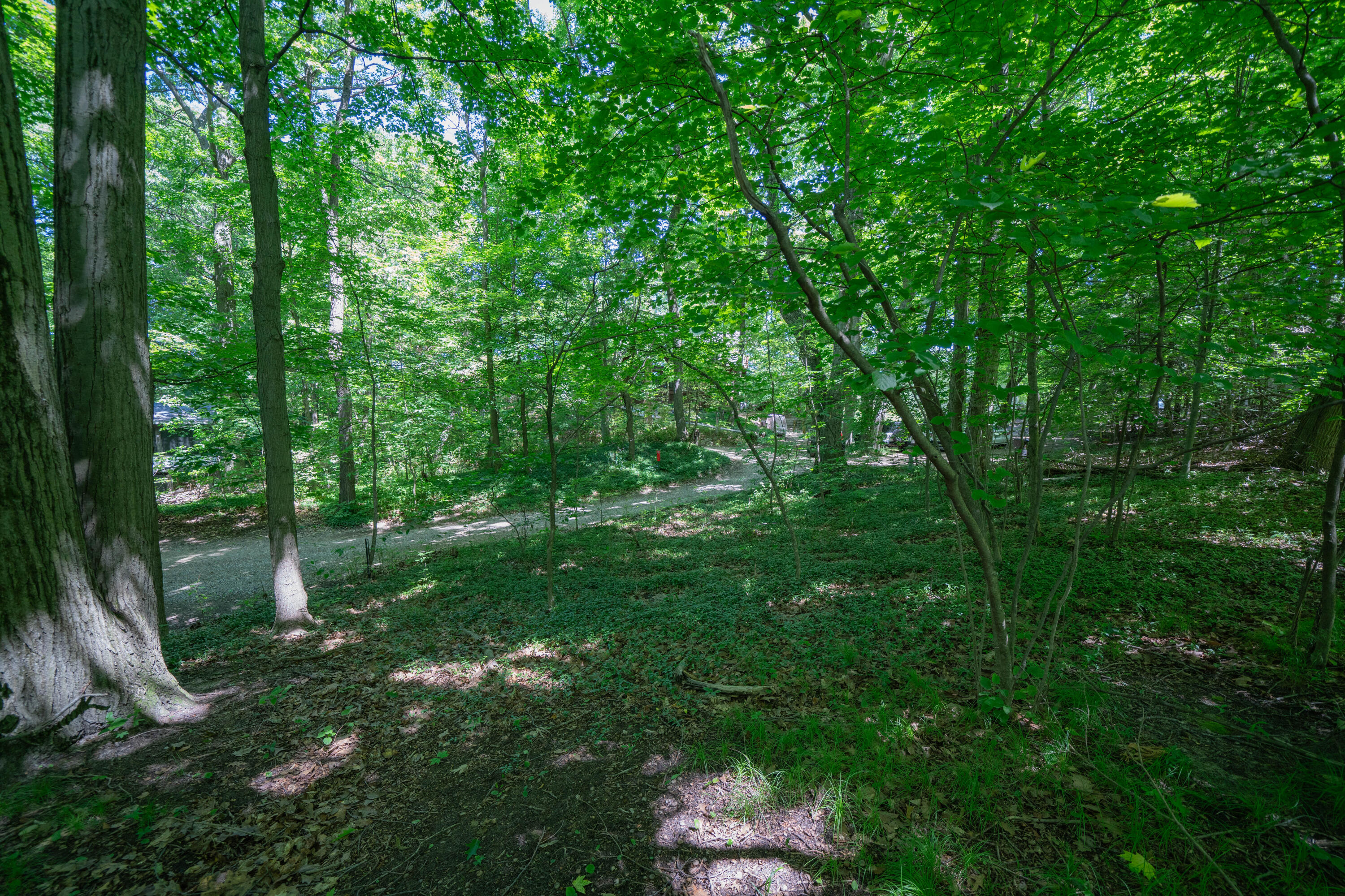 Vl Ramblewood Circle Property Photo 8