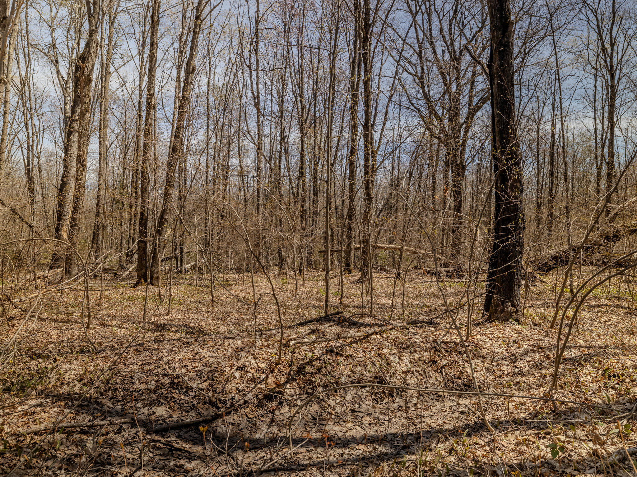 Lot 3 E Shore Road Property Photo 13