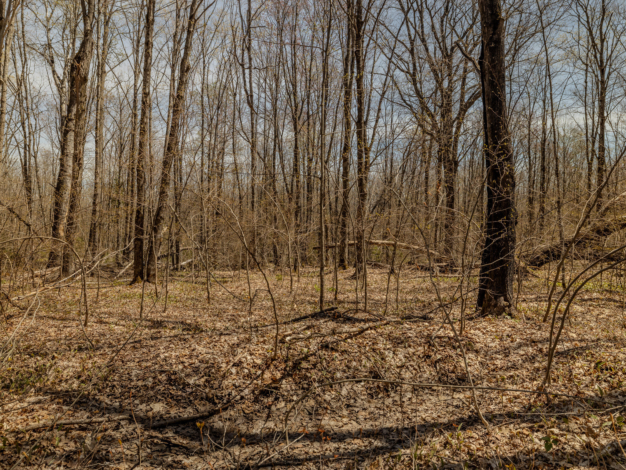 Lot 3 E Shore Road Property Photo 14