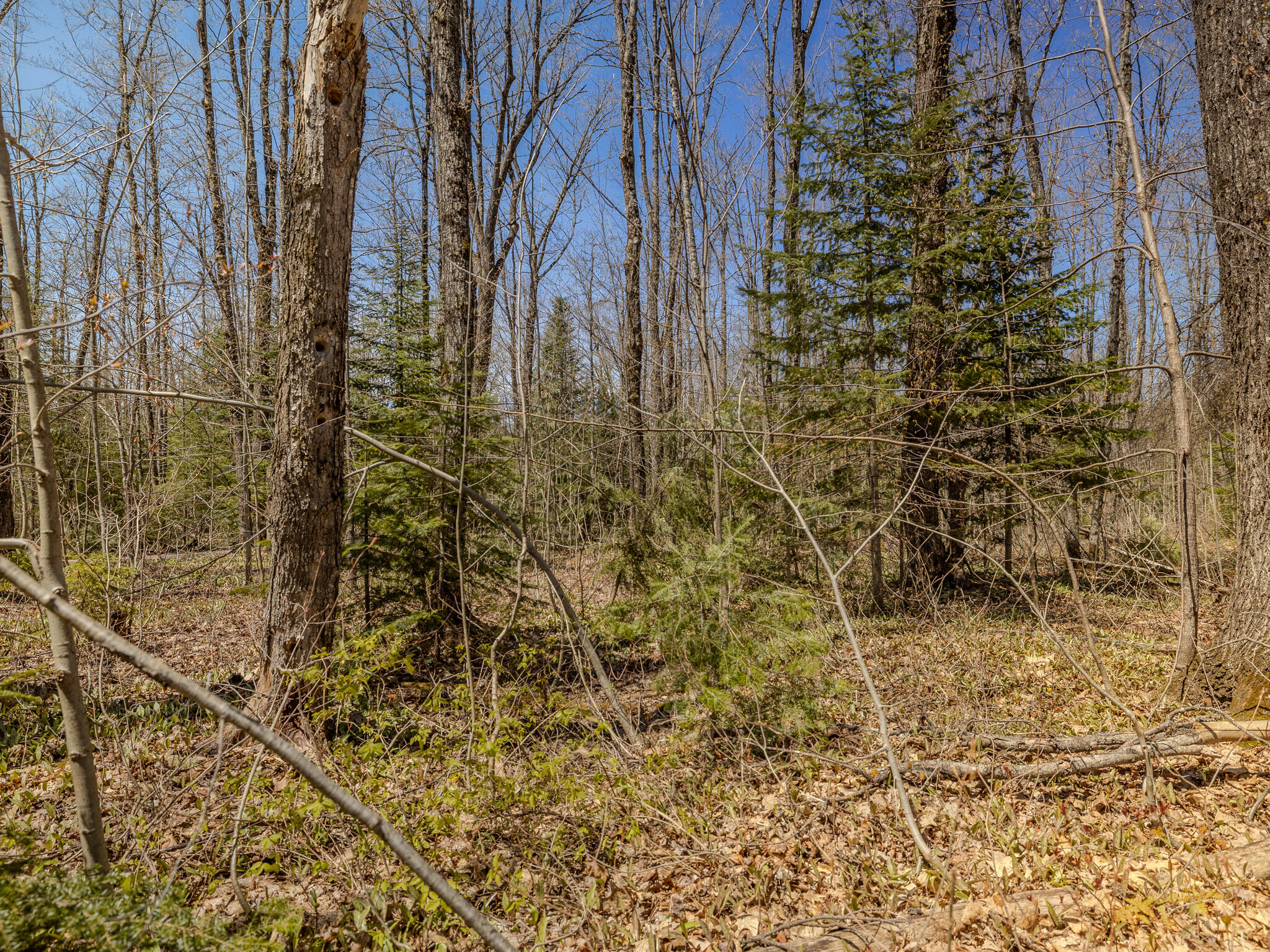 Lot 3 E Shore Road Property Photo 20