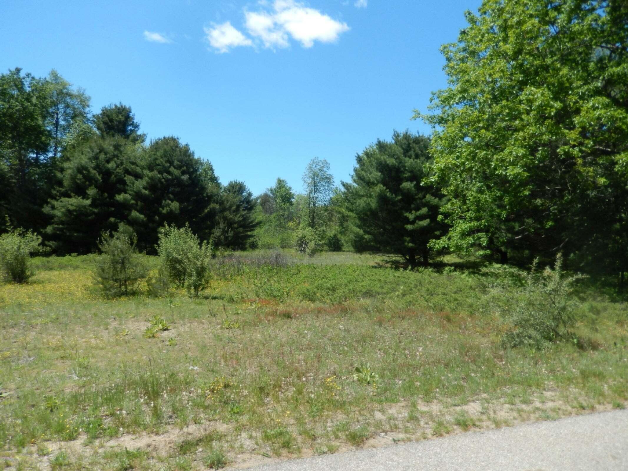 6265 Kilkenny Drive Property Photo 3