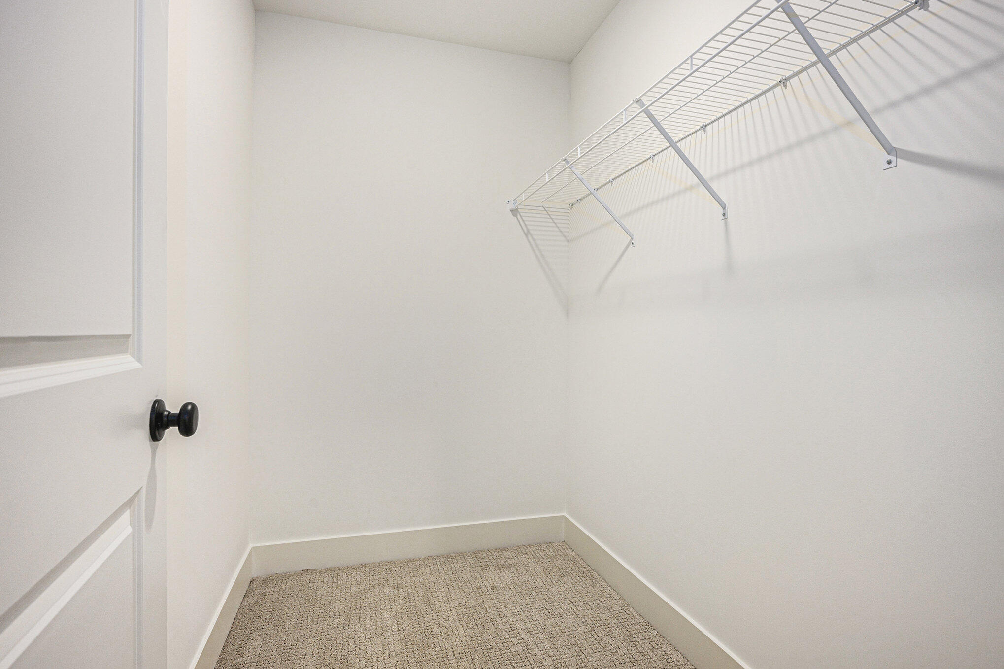 5978 Boxthorn Trail Property Photo 19