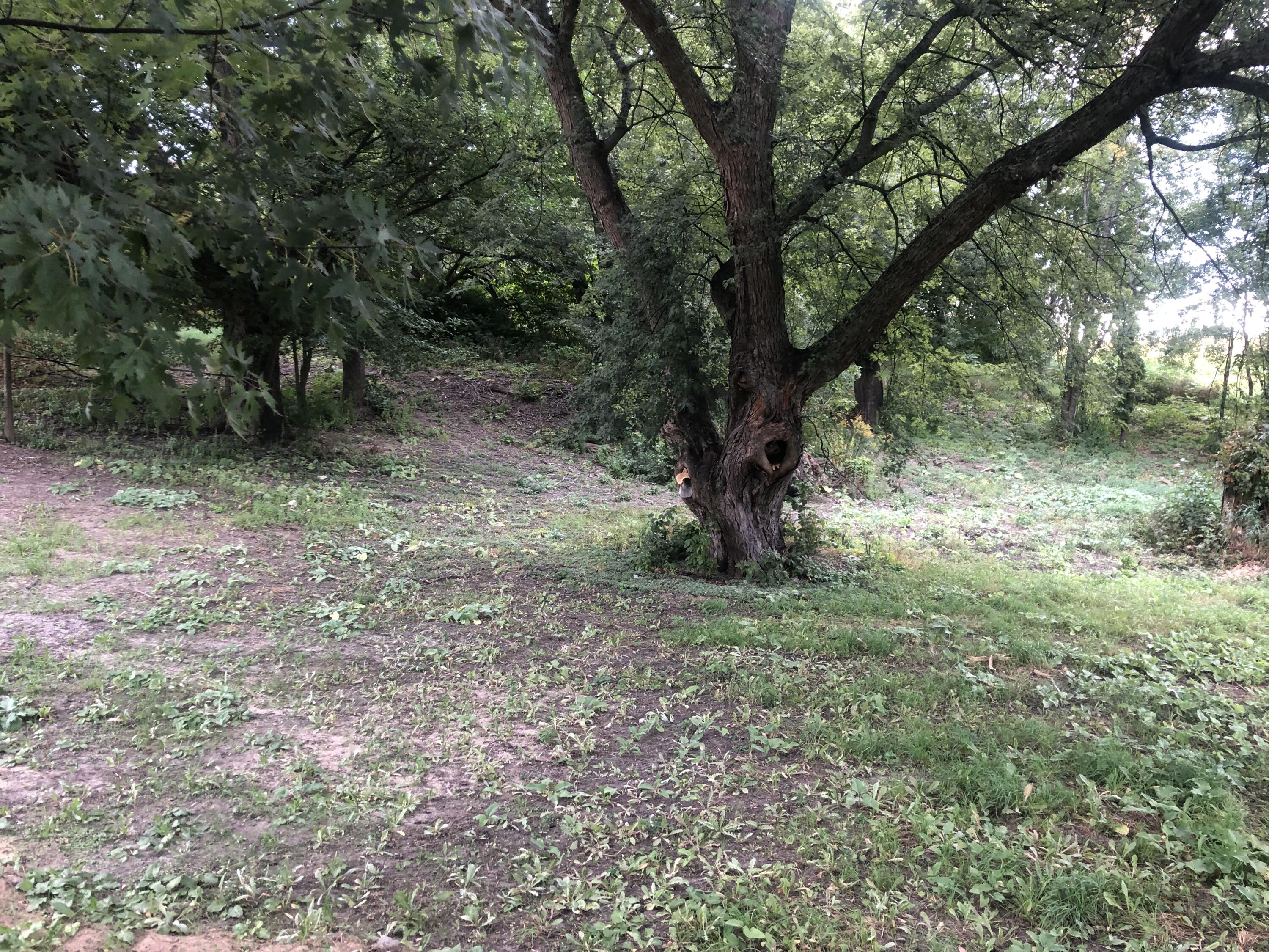 4376 S Pere Marquette Highway Property Photo 6