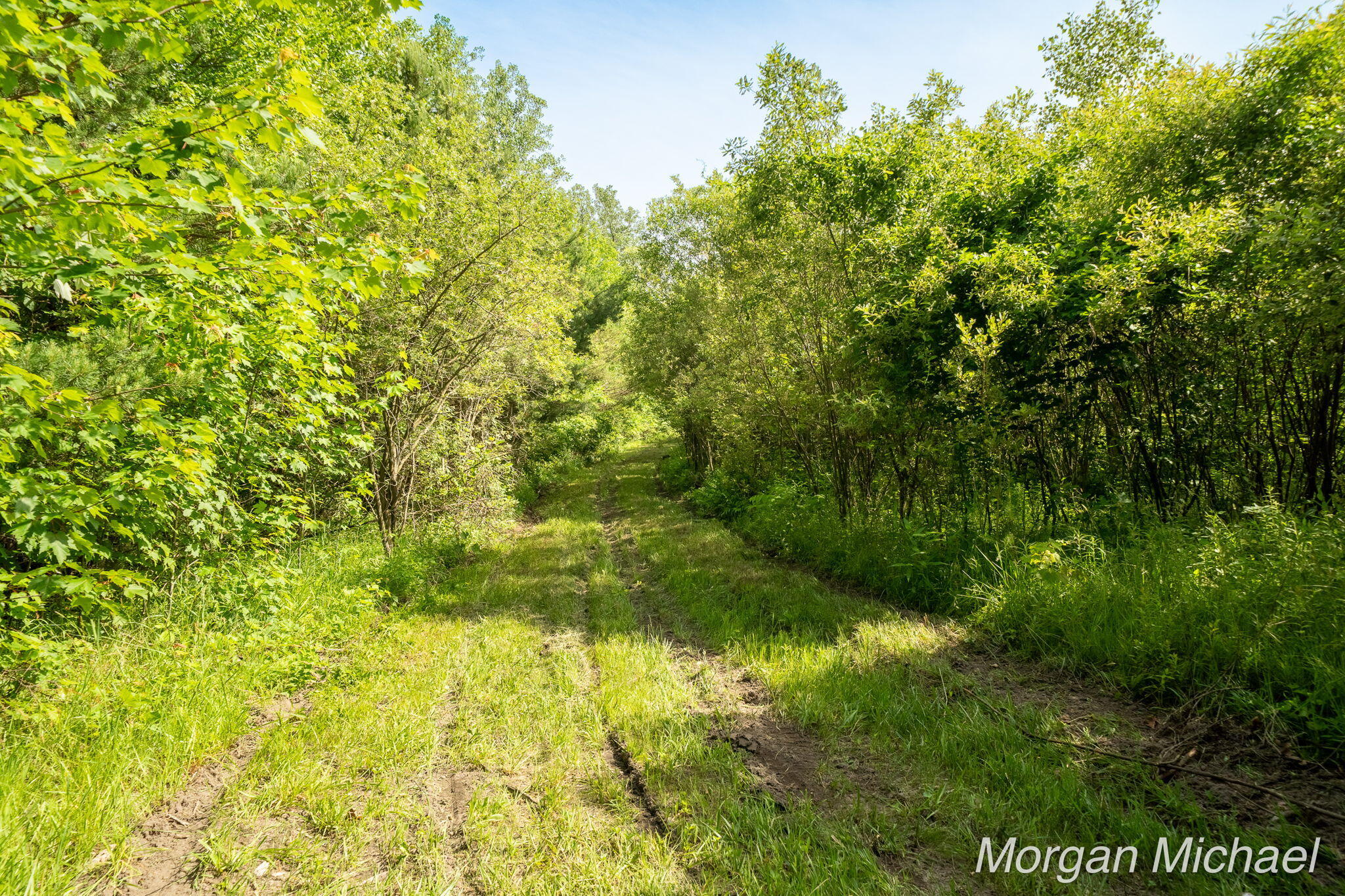 3825 S Brooks Property Photo 7