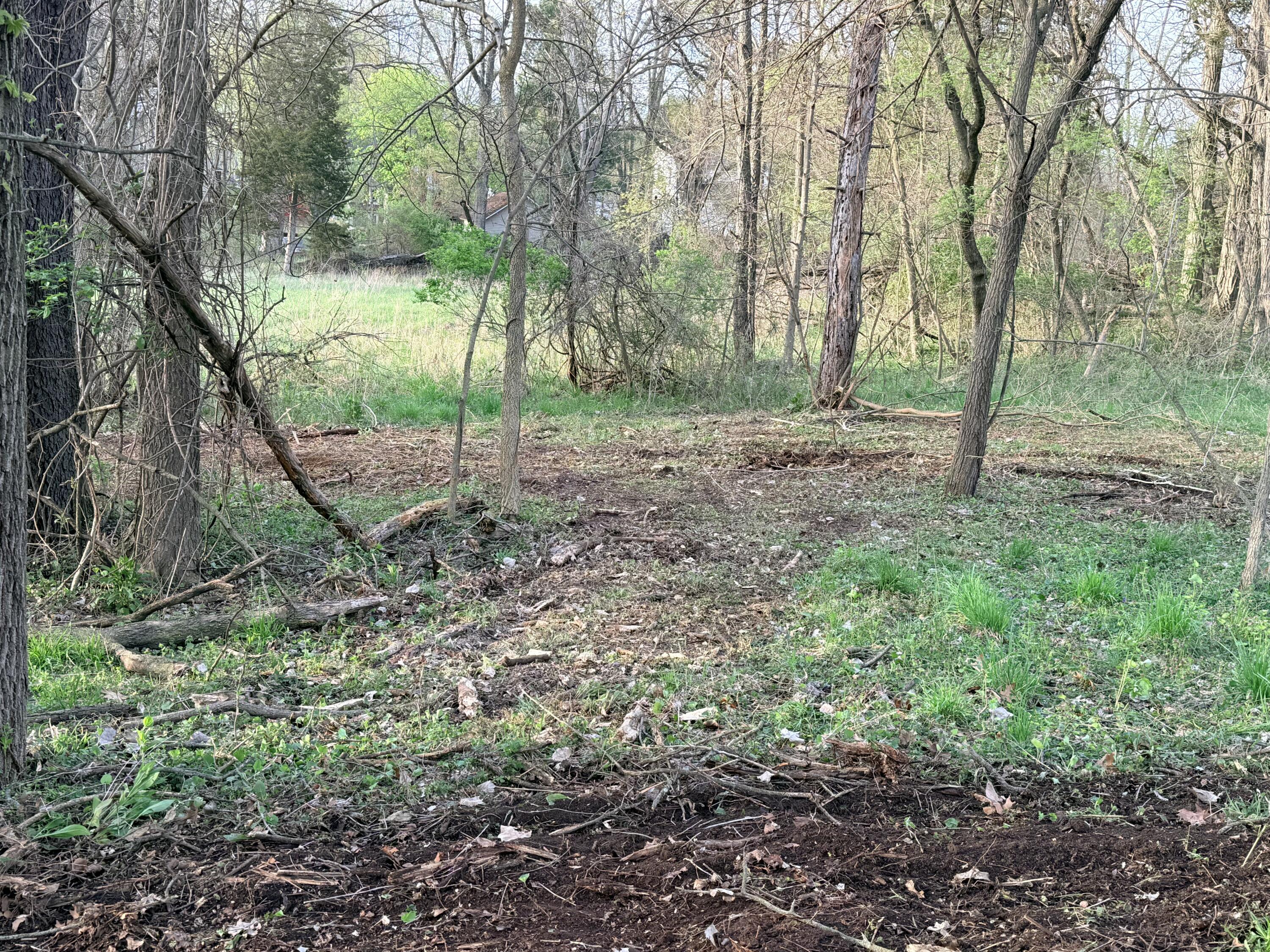 Ernest Street Property Photo 9