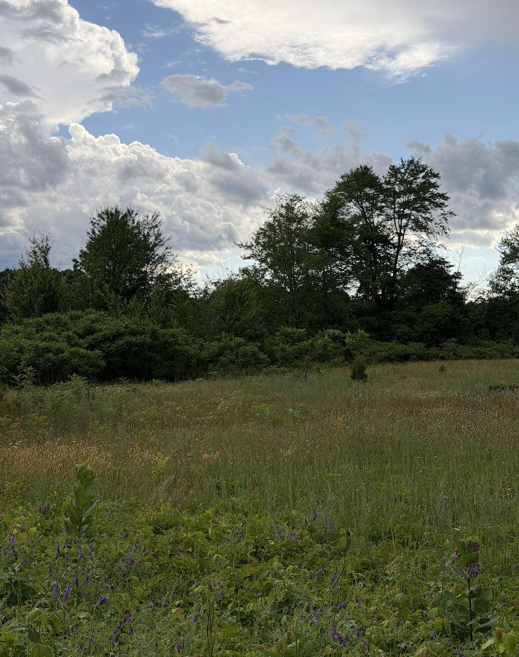 390 S Arent Road Property Photo 1