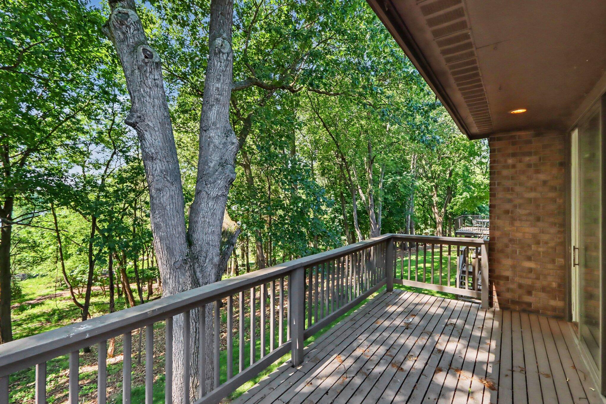 4161 Lake Terrace Drive Property Photo 8
