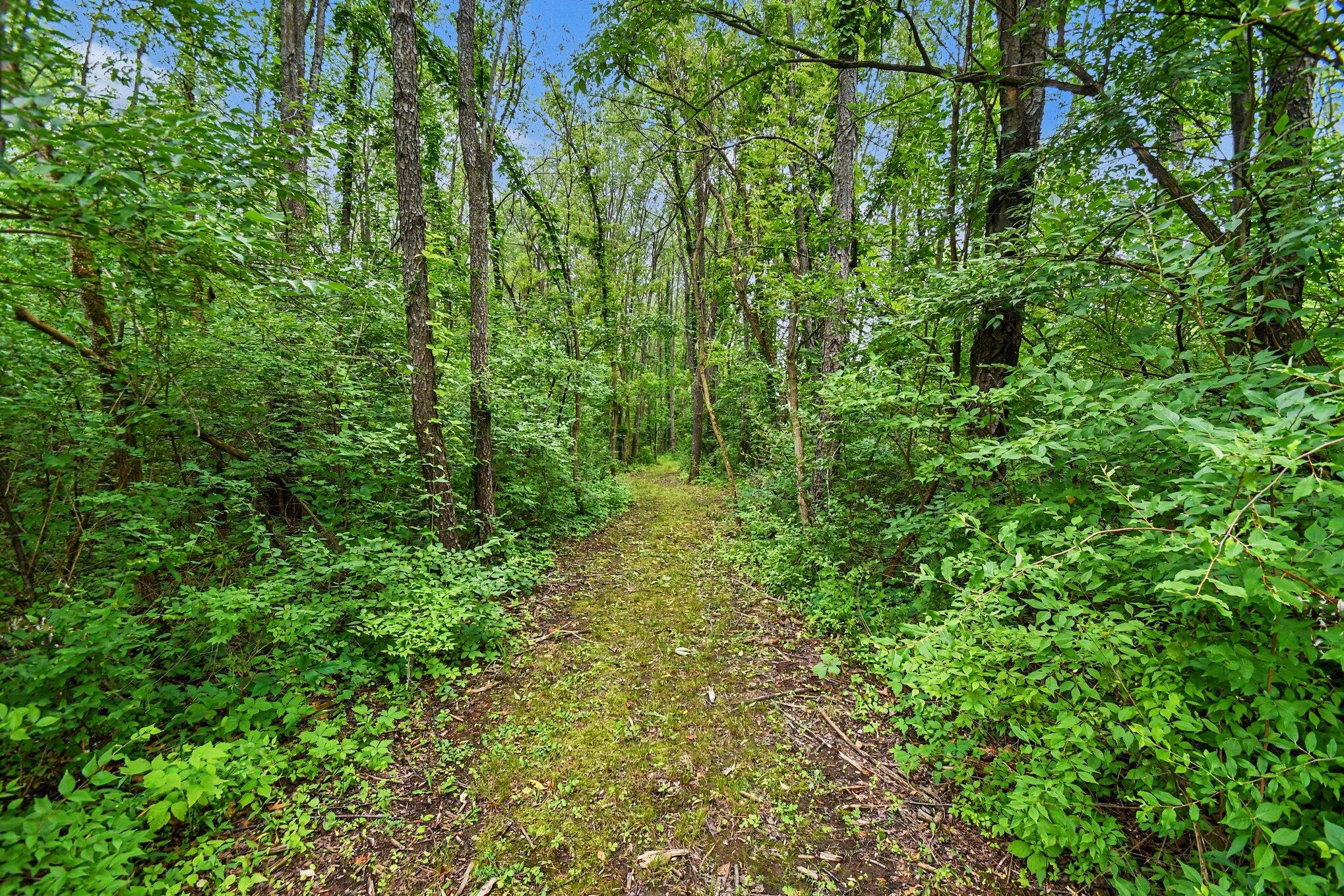 V/L Forest Shores Drive #9 Lot Property Photo 1