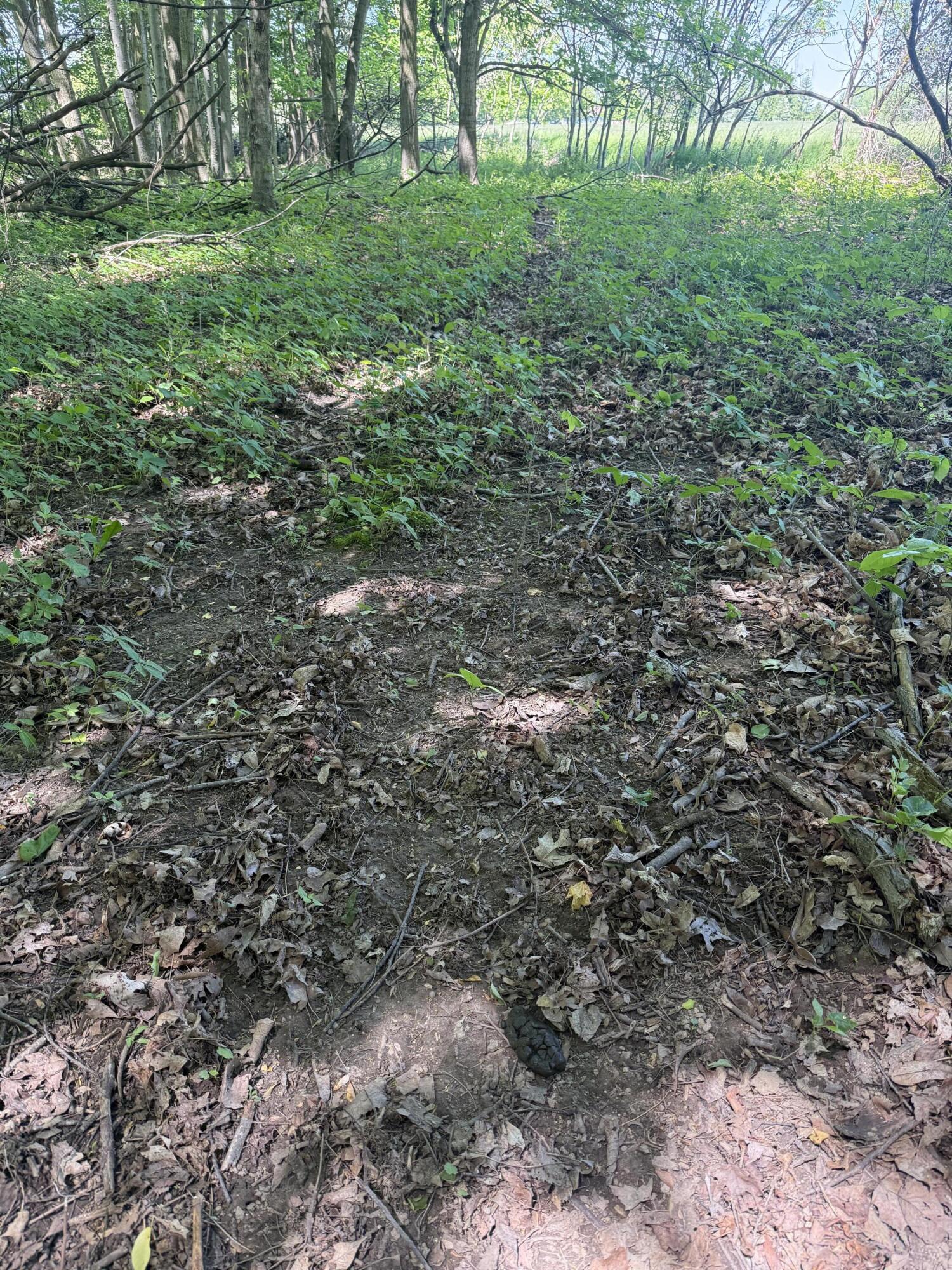 V/l 1 Hurds Corner Road Property Photo 19