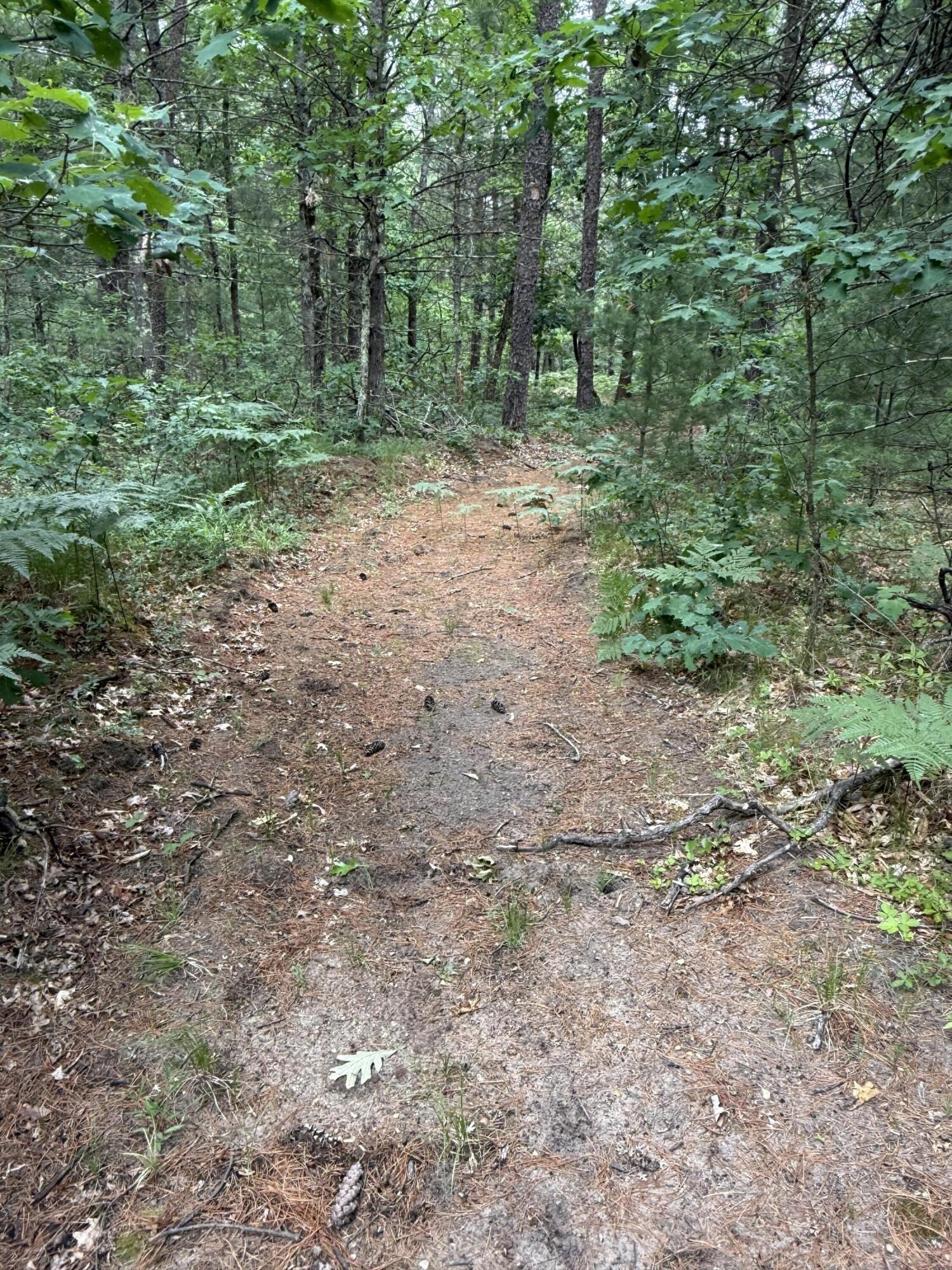 5910 S Shallow Drive Property Photo 27