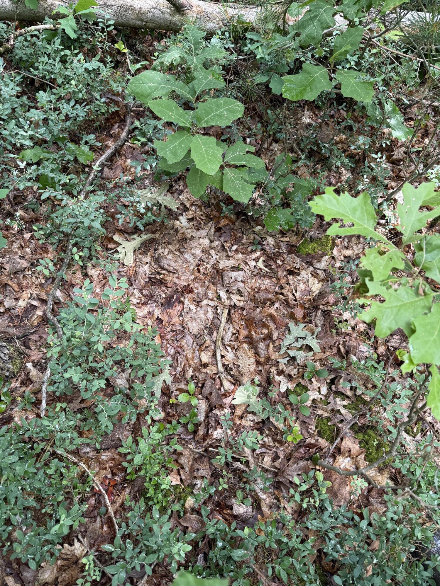 5910 S Shallow Drive Property Photo 33