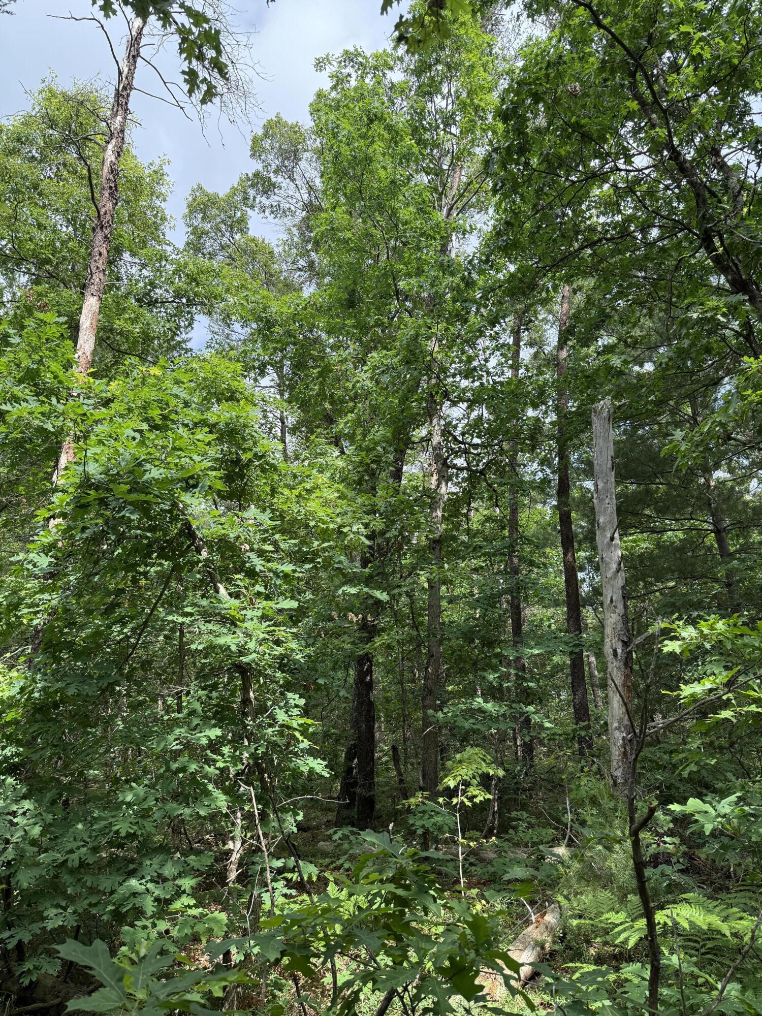 5910 S Shallow Drive Property Photo 35