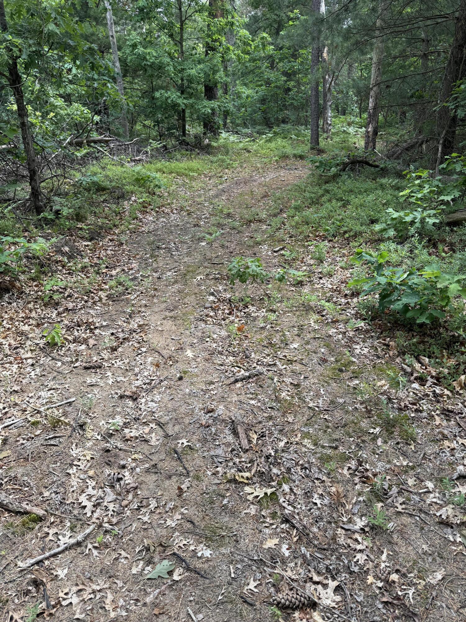 5910 S Shallow Drive Property Photo 40
