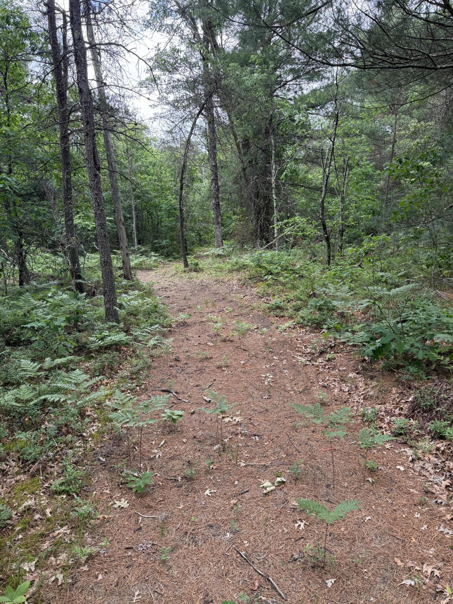 5910 S Shallow Drive Property Photo 43