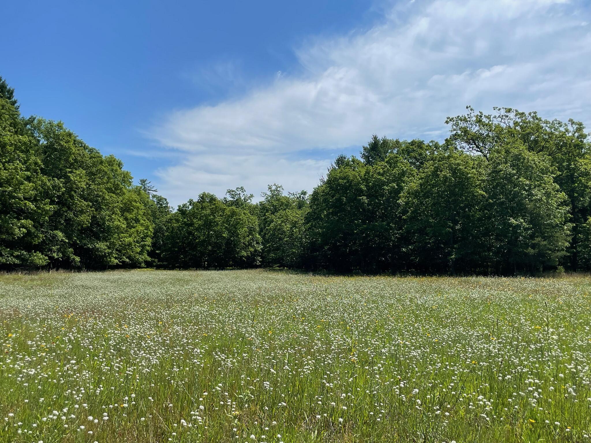 10652 N River Road E Property Photo 2