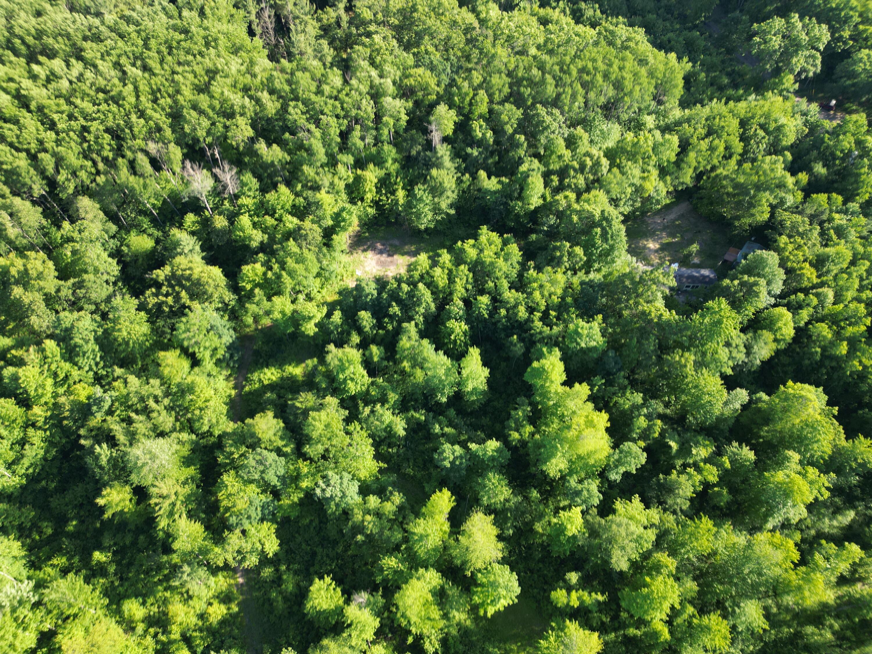 5170 Rocky Top Parcel B Lane Property Photo 2