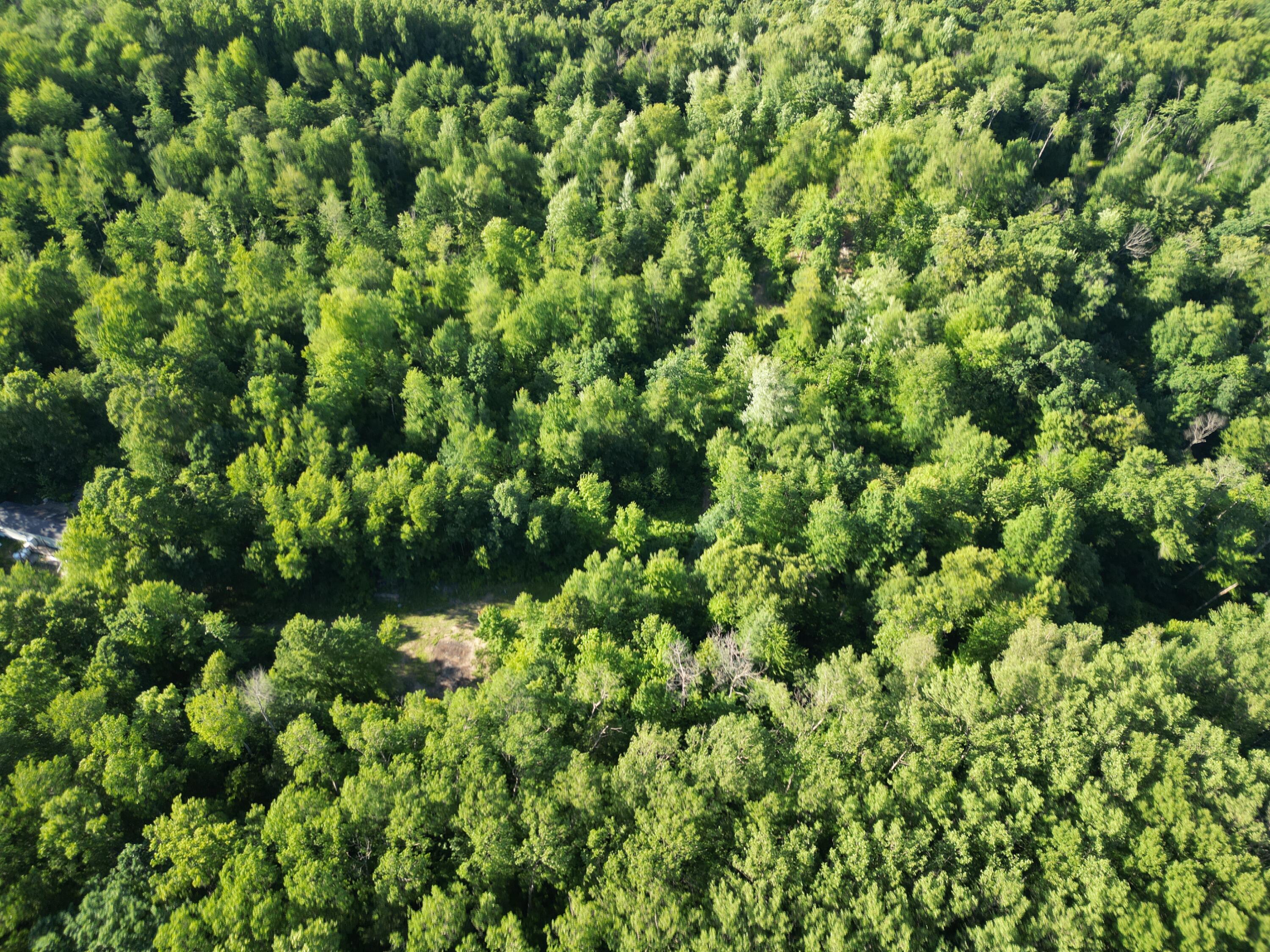 5170 Rocky Top Parcel B Lane Property Photo 7