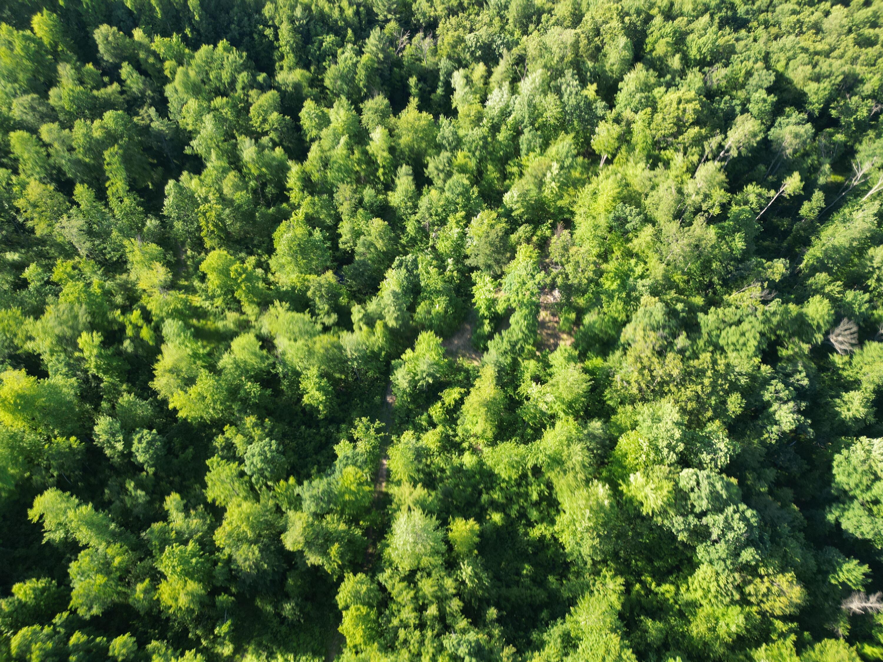 5170 Rocky Top Parcel B Lane Property Photo 9