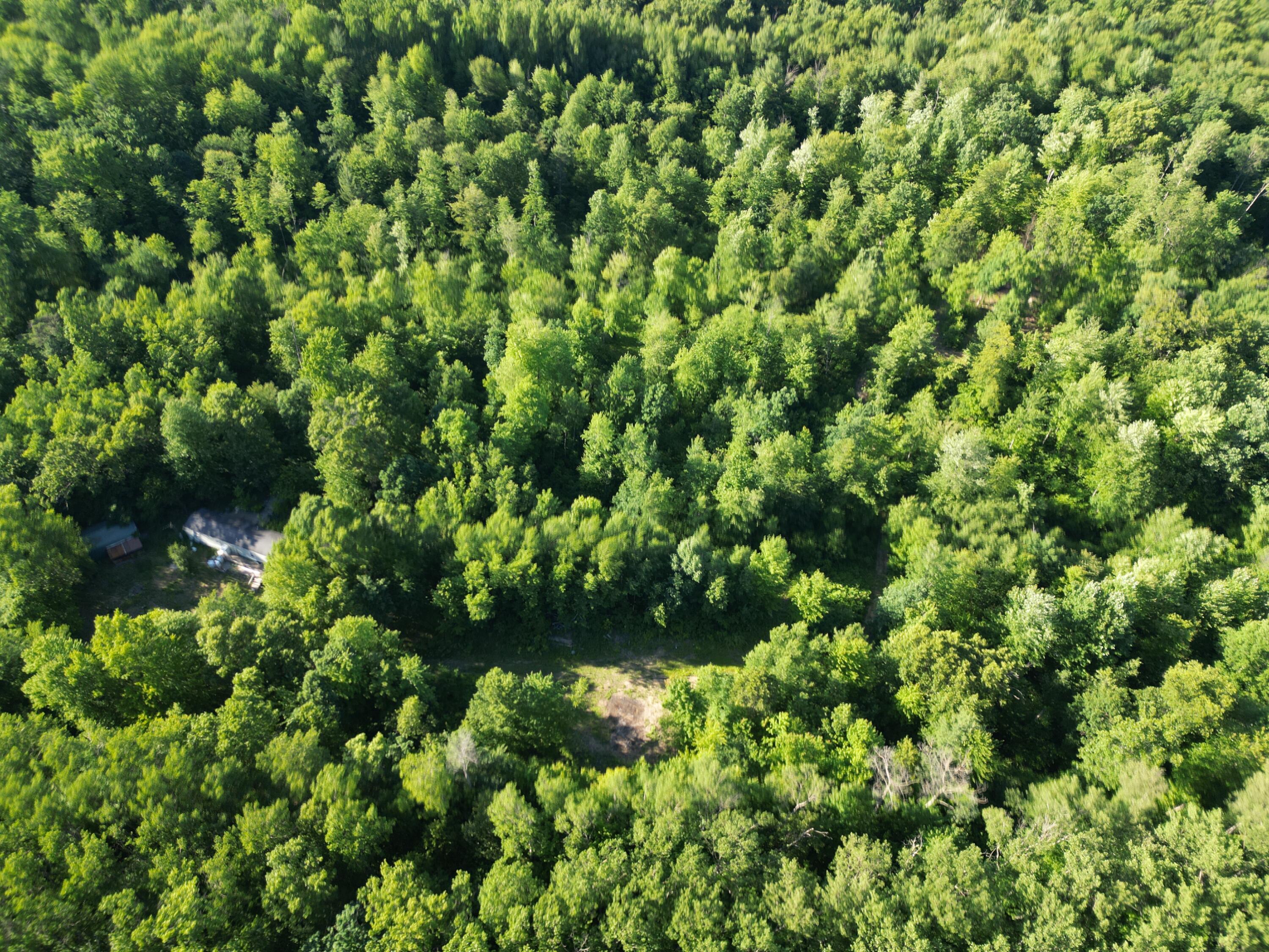 5170 Rocky Top Parcel B Lane Property Photo 11