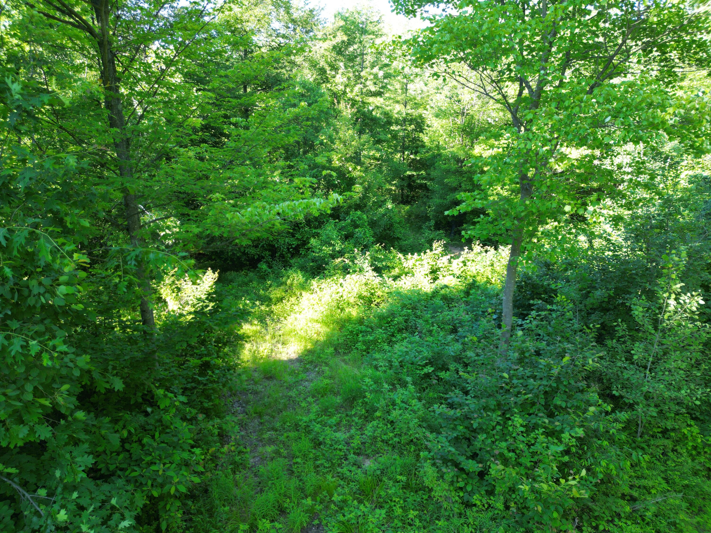 5170 Rocky Top Parcel B Lane Property Photo 12