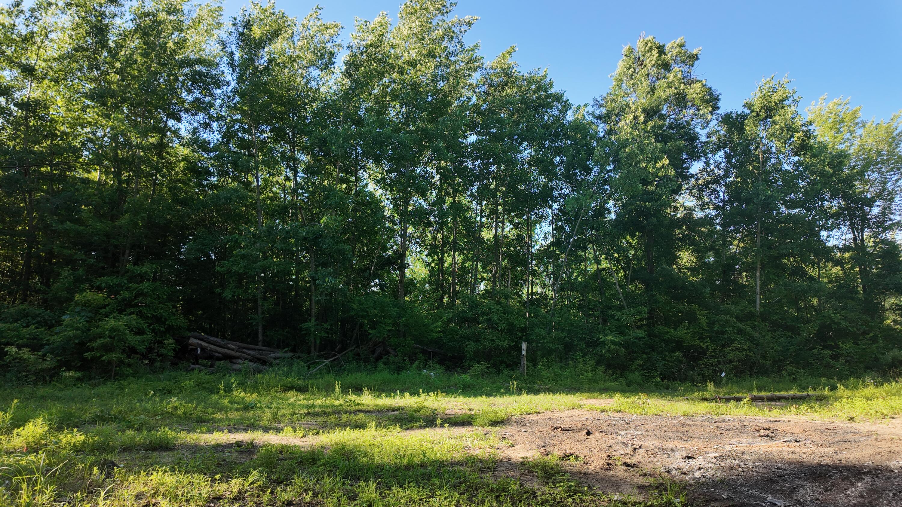 5170 Rocky Top Parcel B Lane Property Photo 13