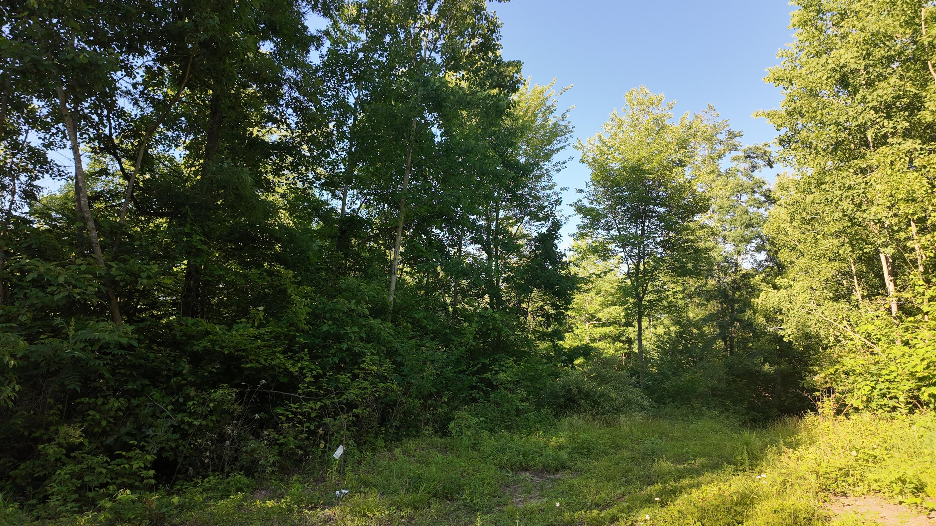 5170 Rocky Top Parcel B Lane Property Photo 14