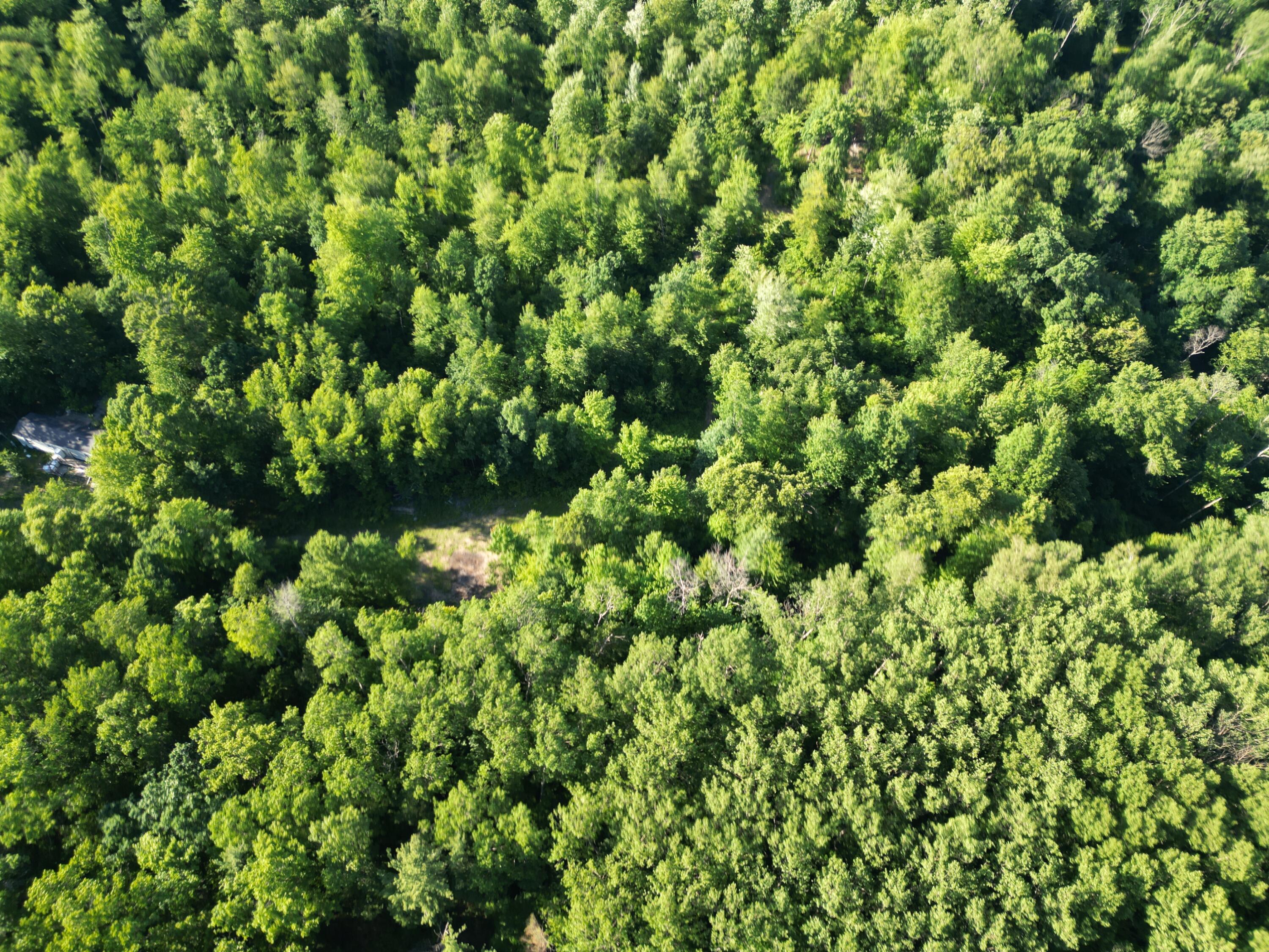 5170 Rocky Top Parcel C Lane Property Photo 1