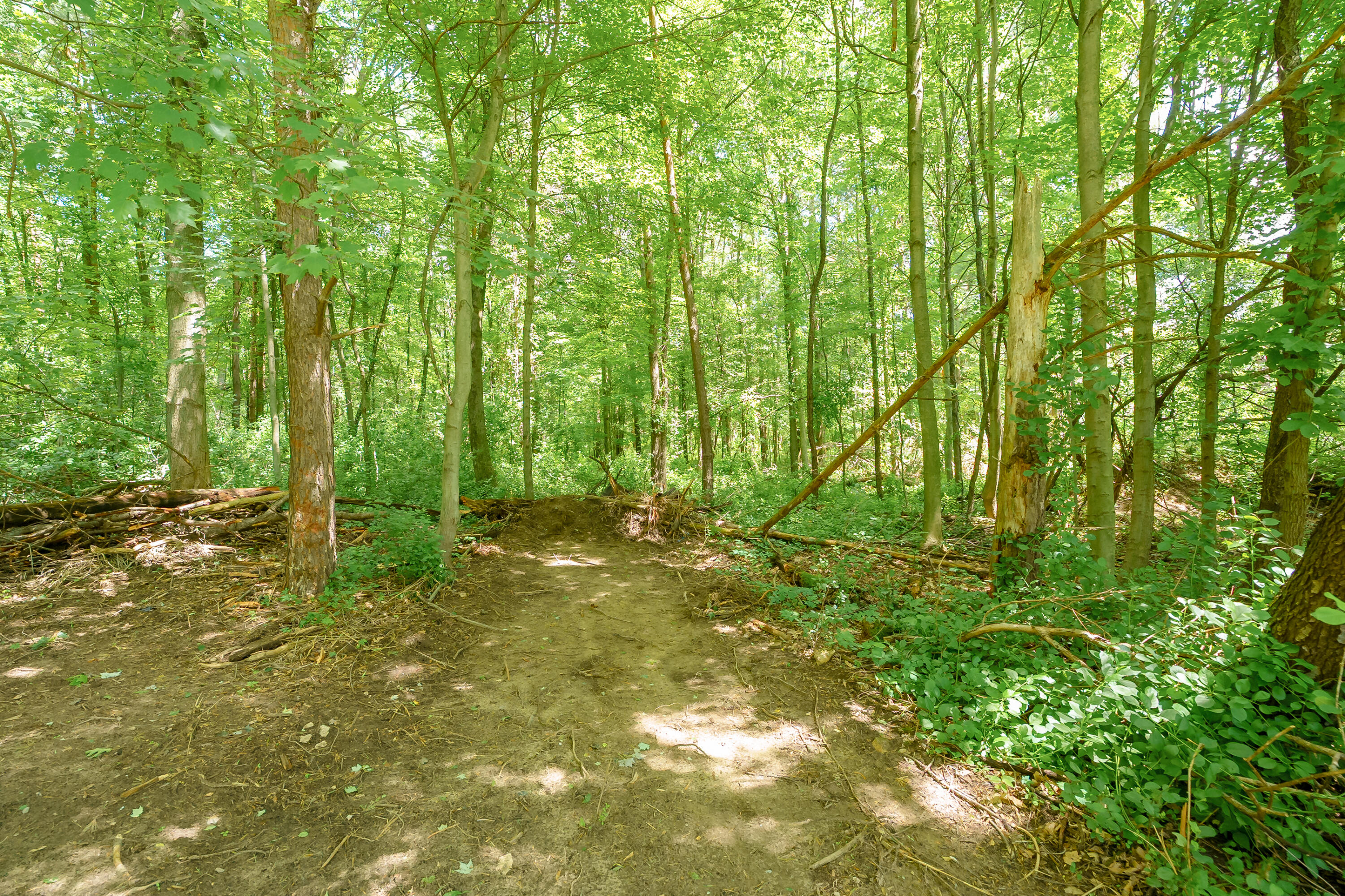 4445 Sassafras Lane Property Photo 43