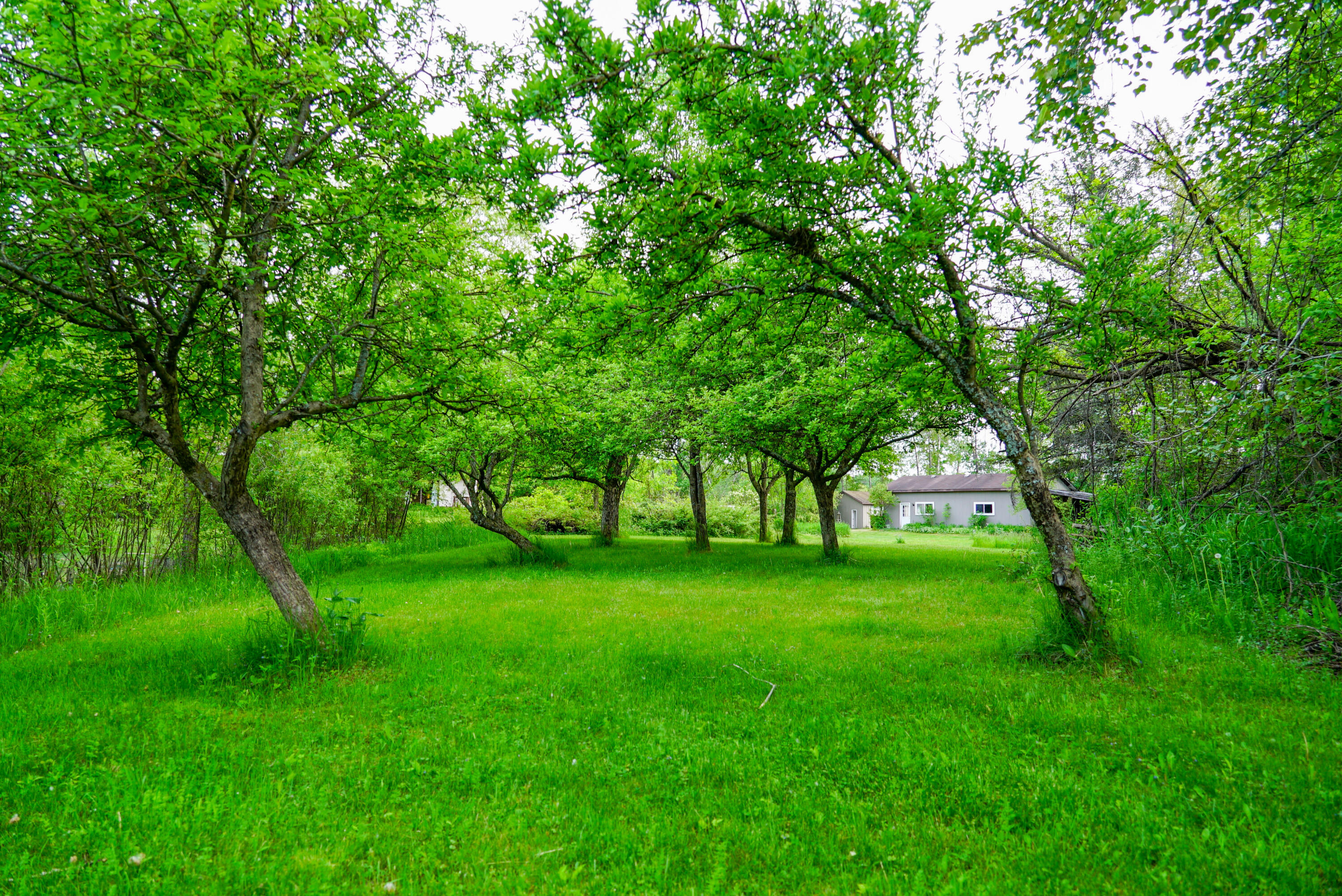 3091 E Sage Lake Property Photo 13