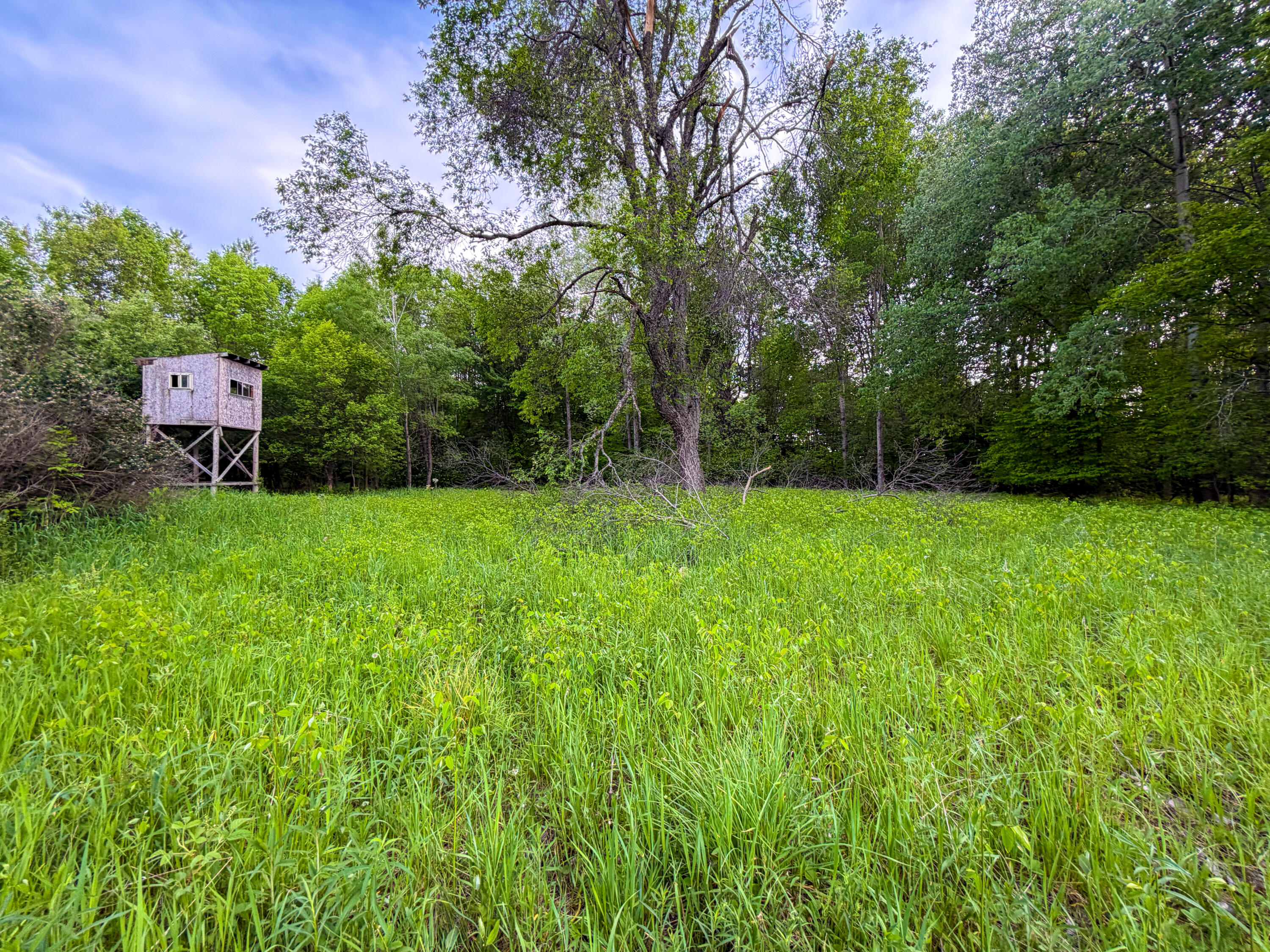 3091 E Sage Lake Property Photo 15