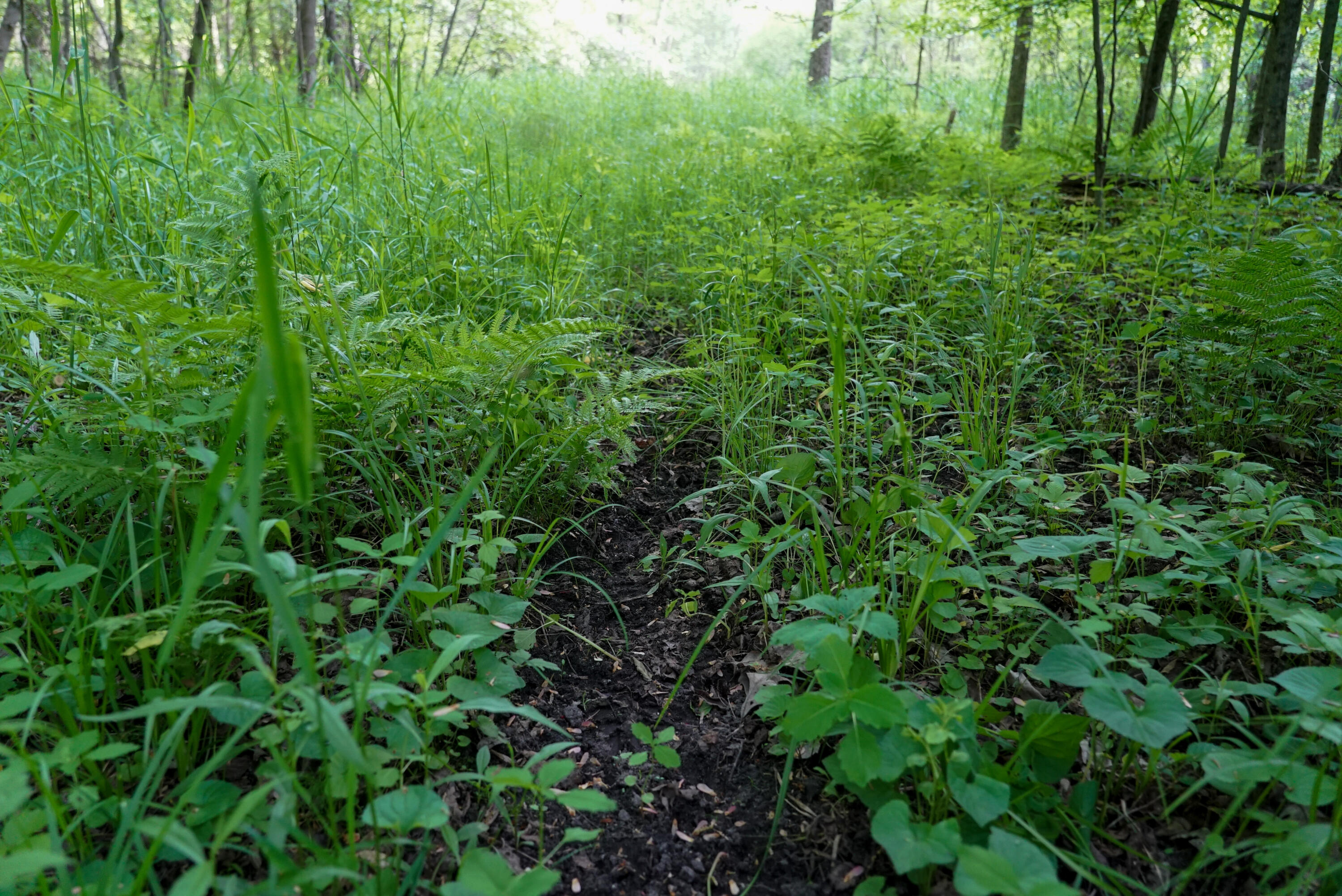 3091 E Sage Lake Property Photo 36