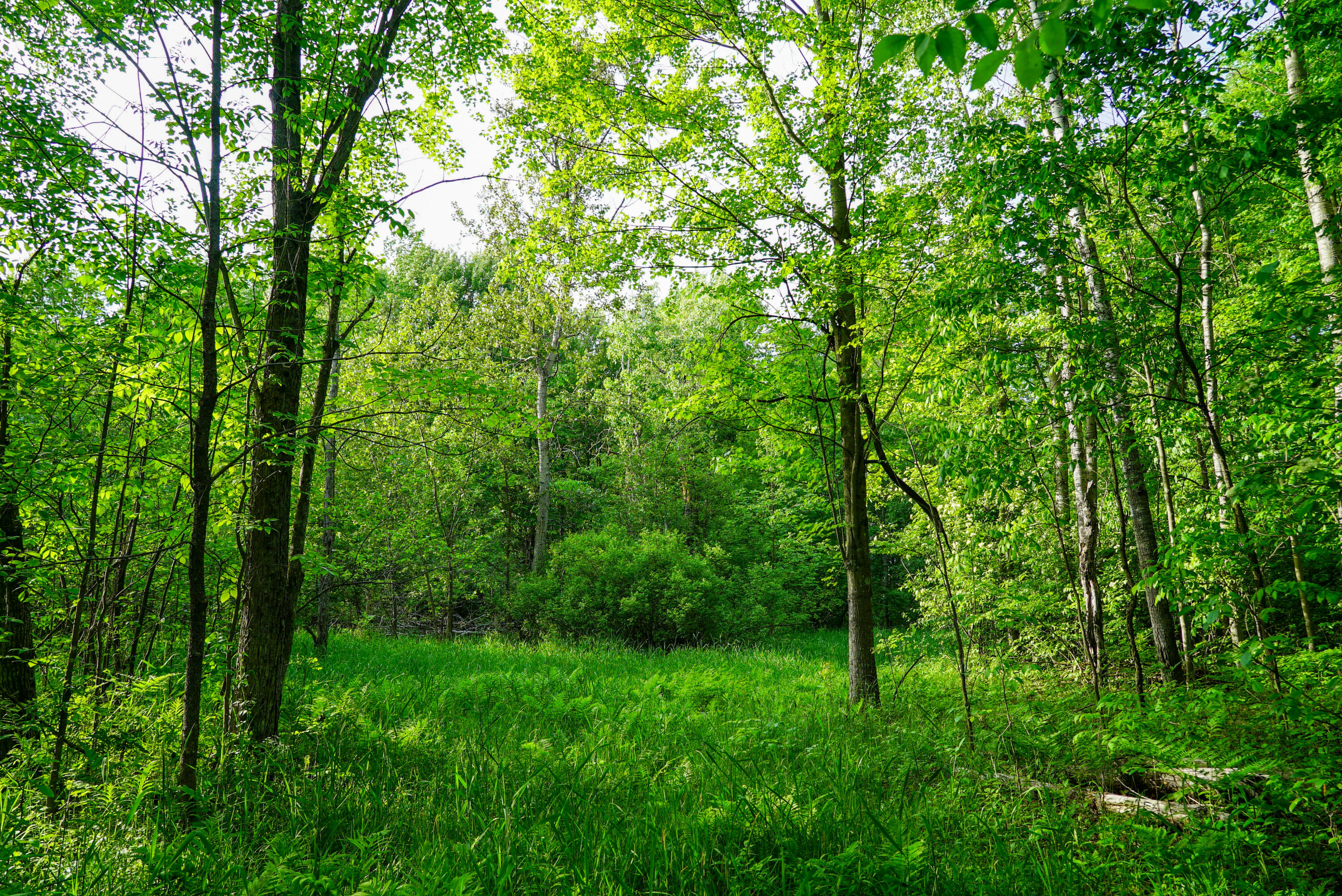 3091 E Sage Lake Property Photo 37
