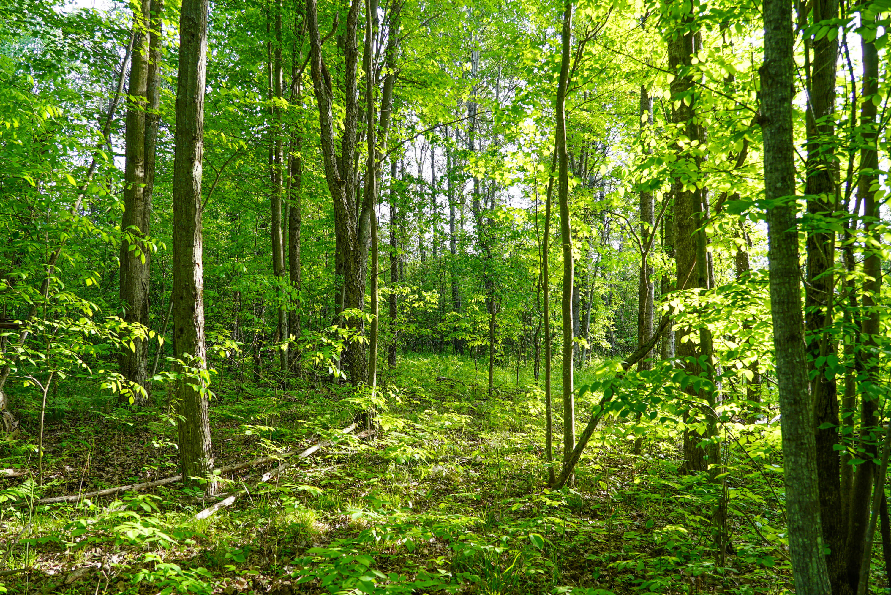 3091 E Sage Lake Property Photo 45