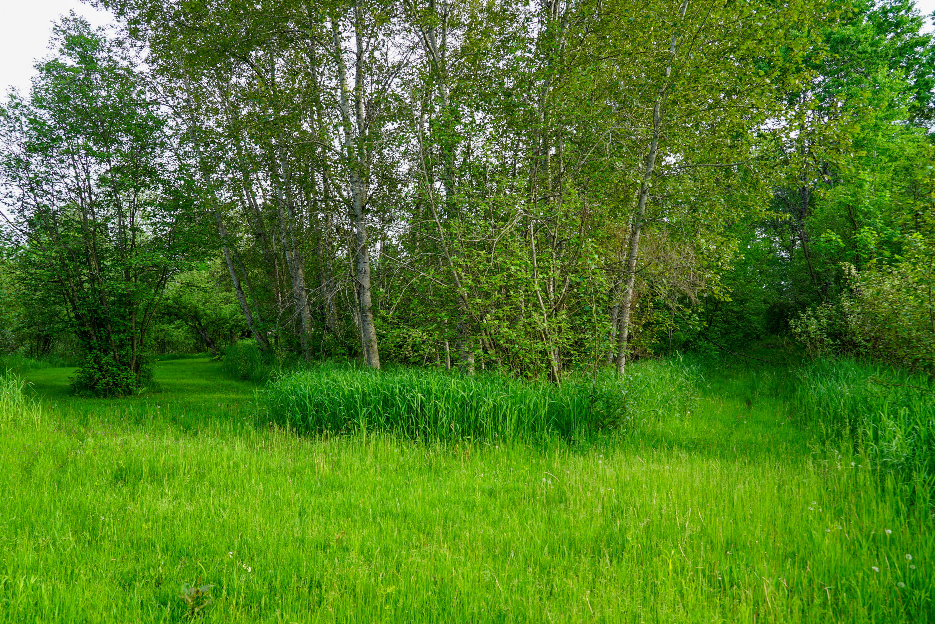 3091 E Sage Lake Property Photo 46