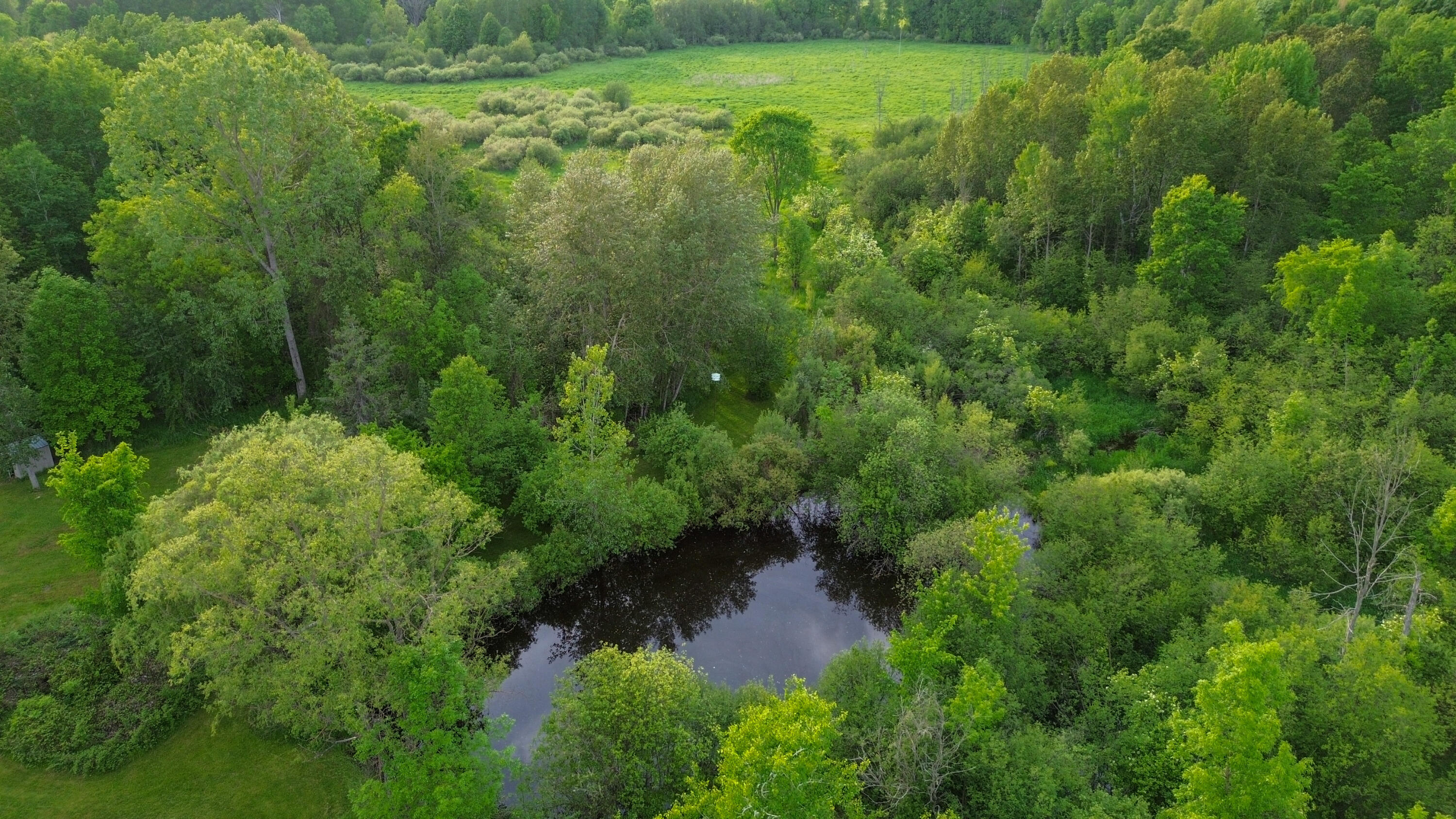 3091 E Sage Lake Property Photo 47