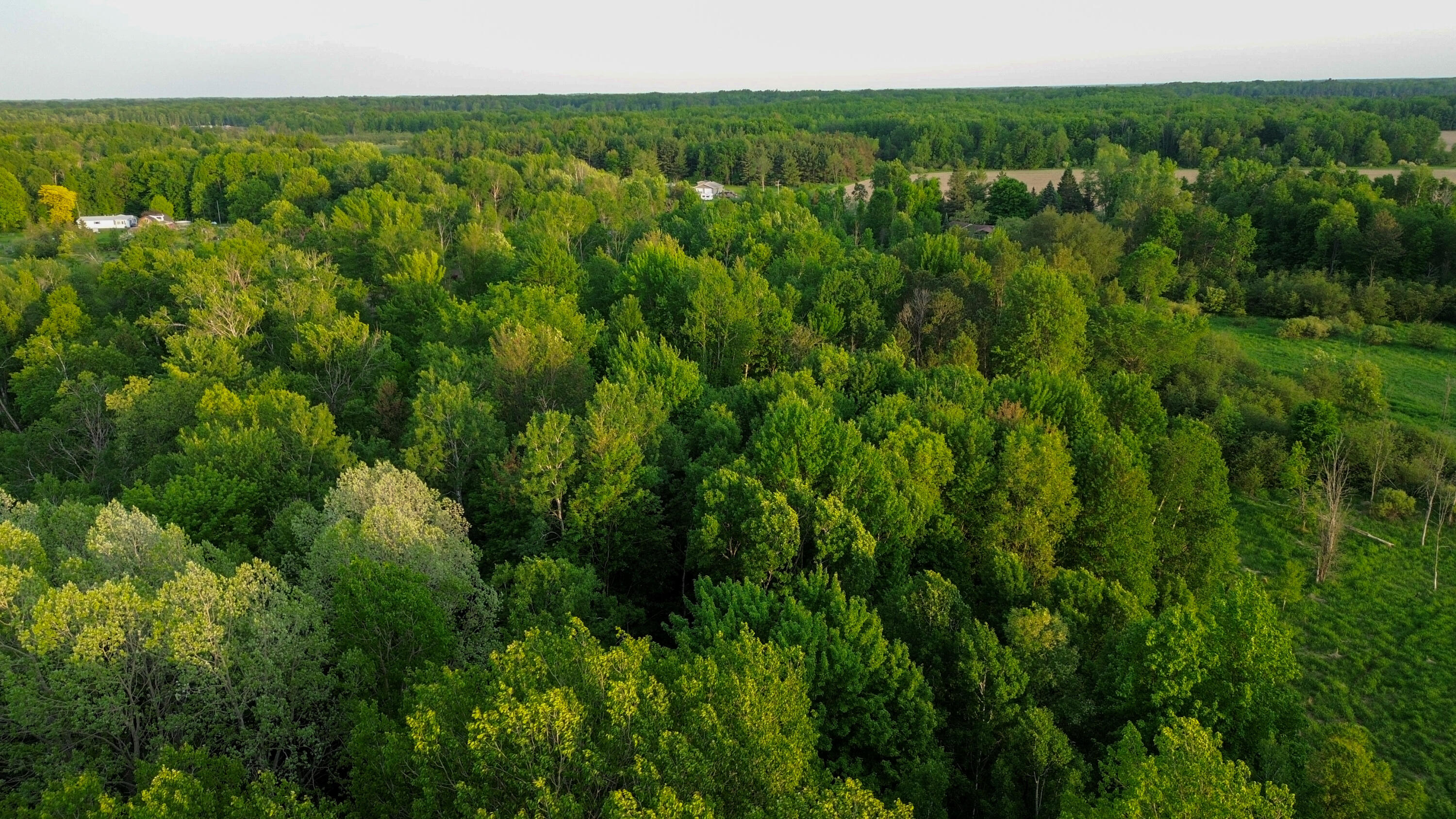 3091 E Sage Lake Property Photo 48
