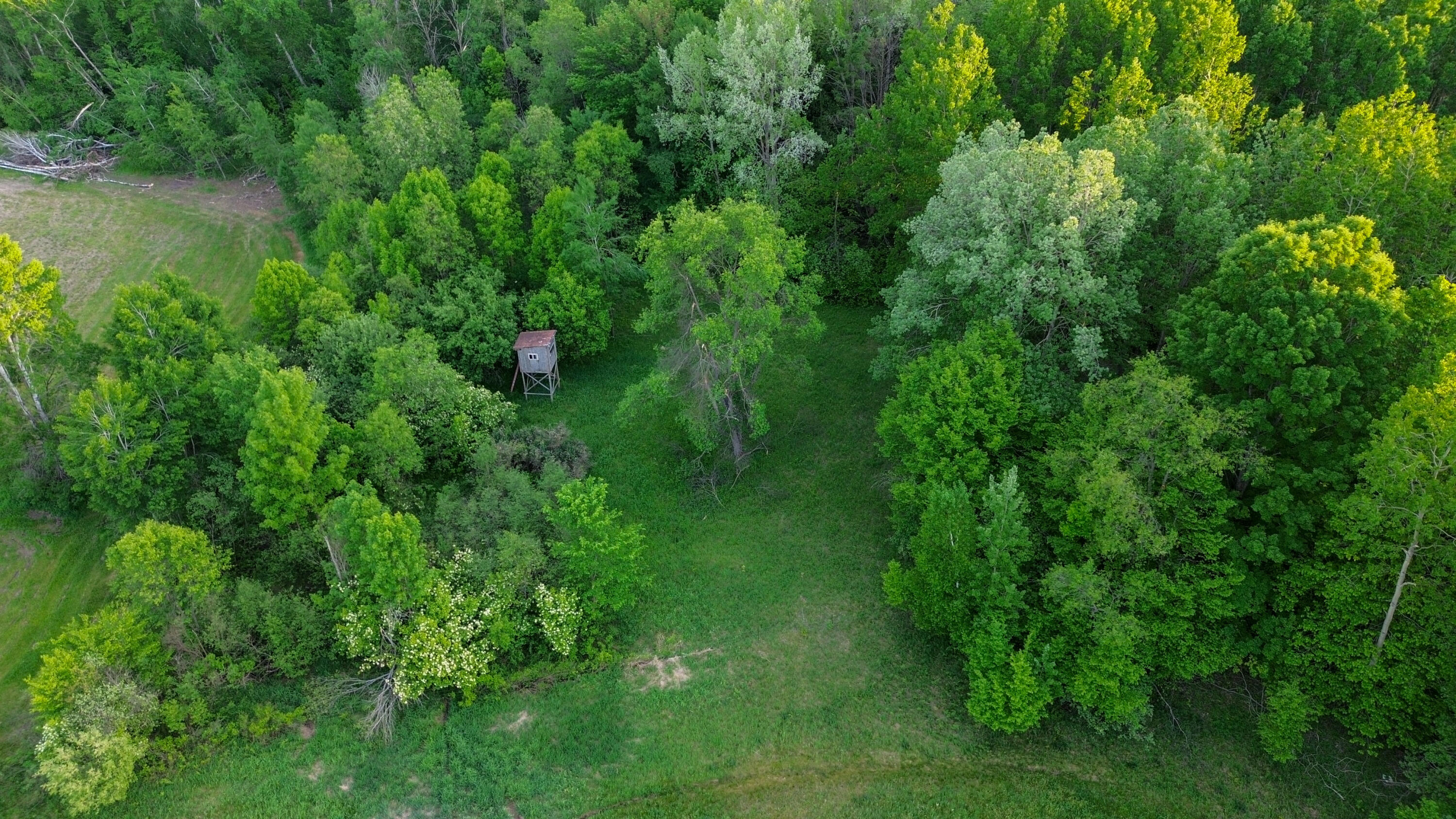 3091 E Sage Lake Property Photo 49